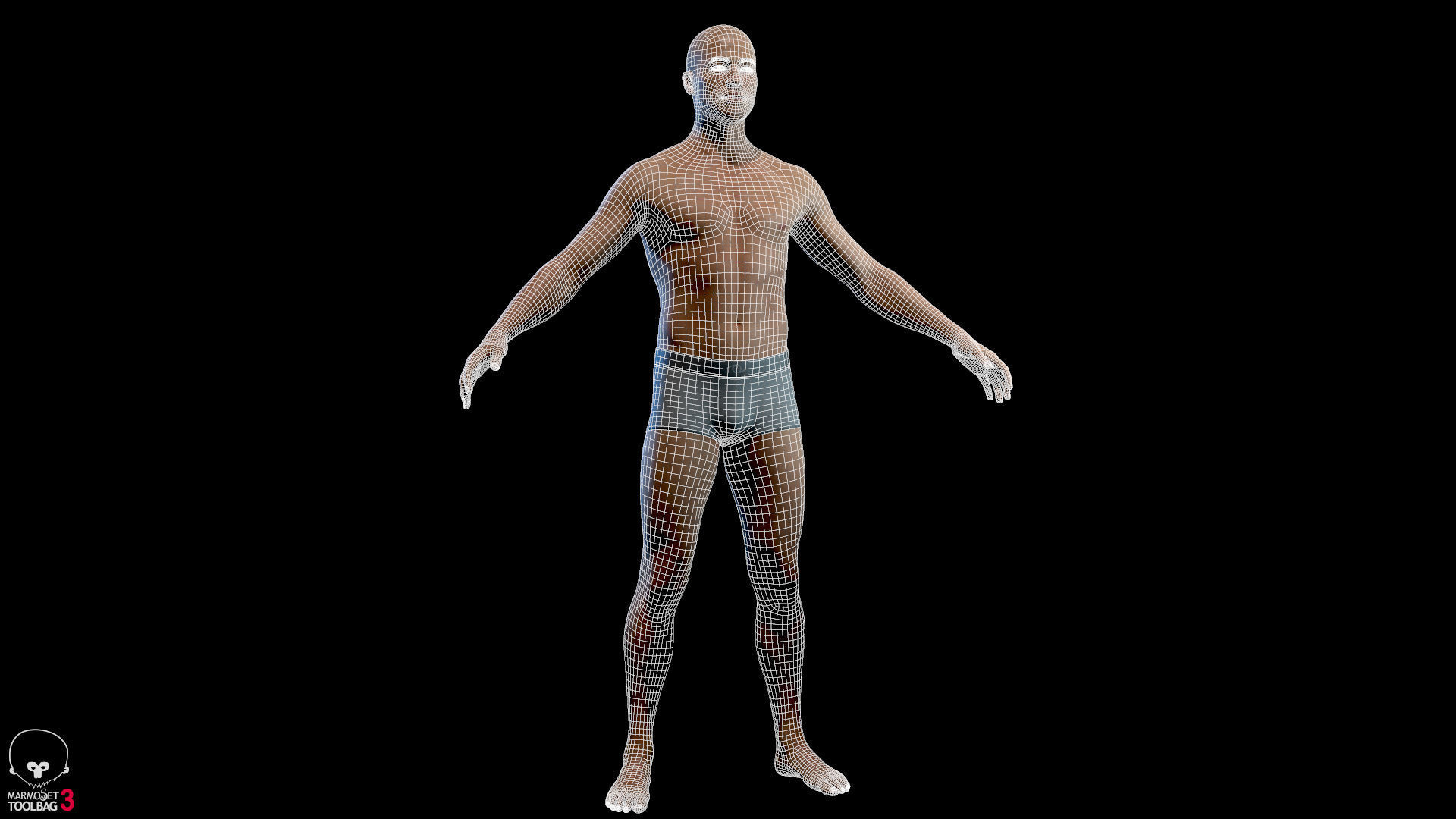 Average Male Body  Low-poly 3D model_25