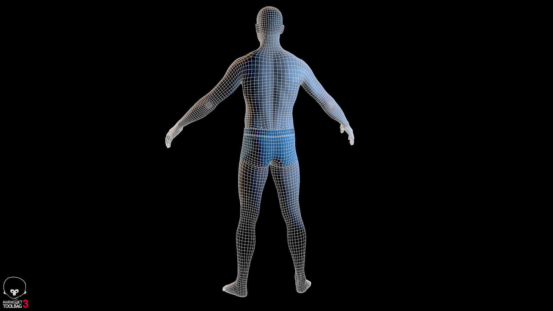 Average Male Body  Low-poly 3D model_28