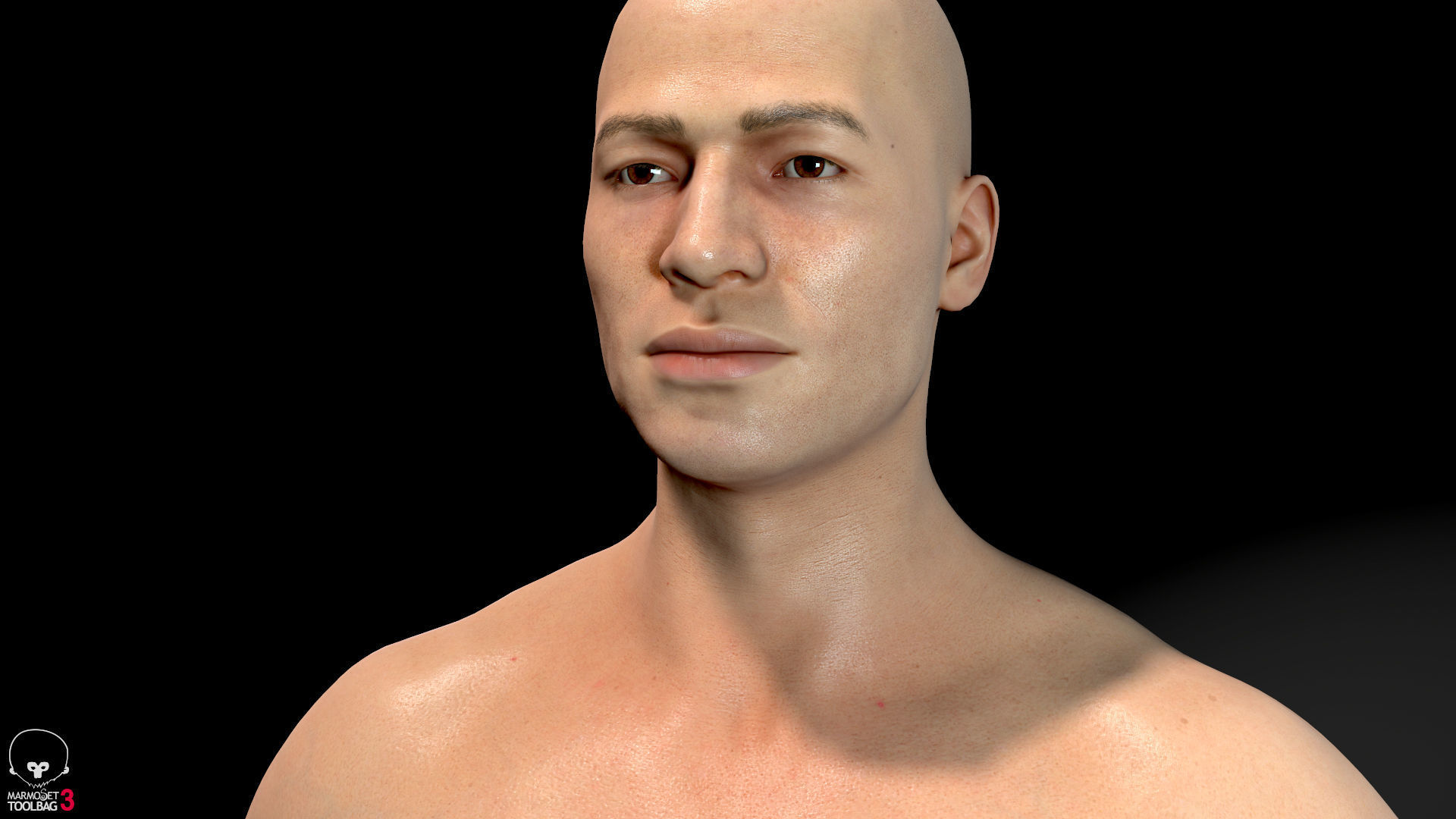 Average Male Body  Low-poly 3D model_11