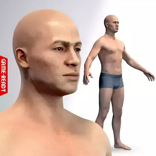 Average Male Body  Low-poly 3D model