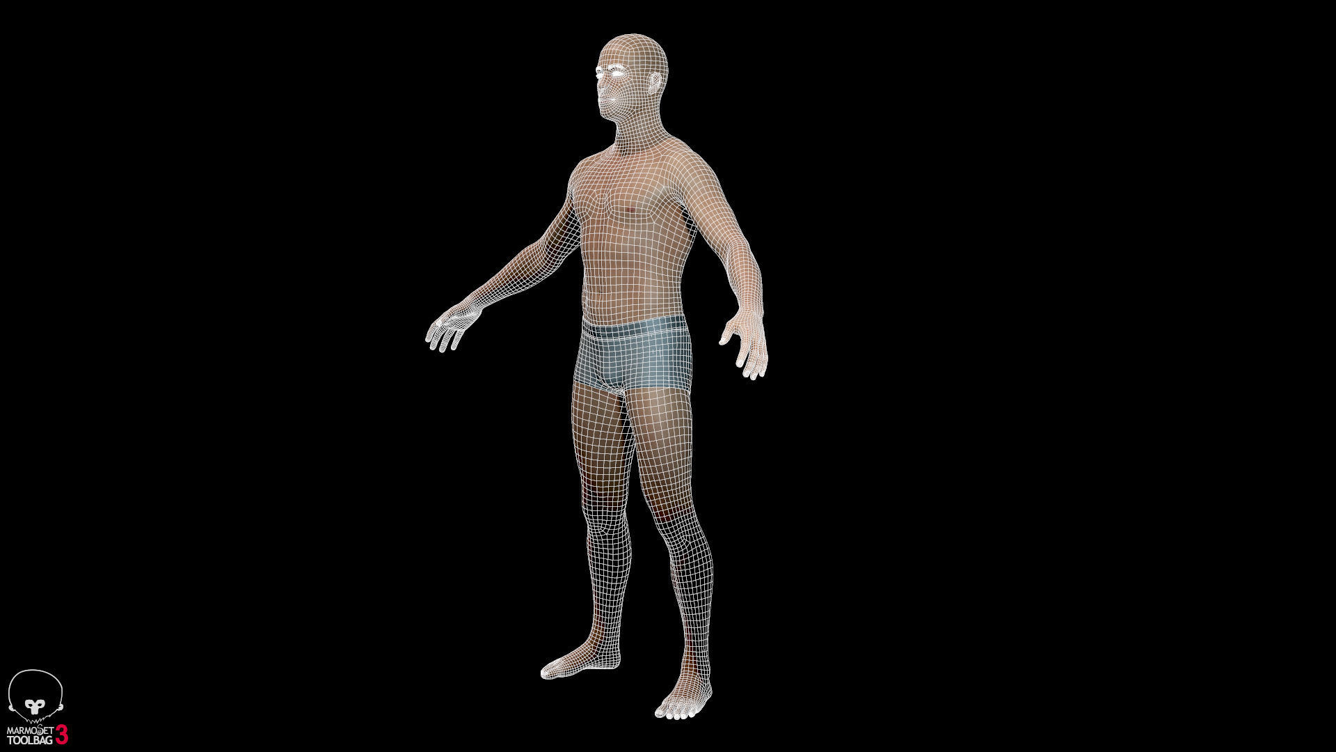 Average Male Body  Low-poly 3D model_26