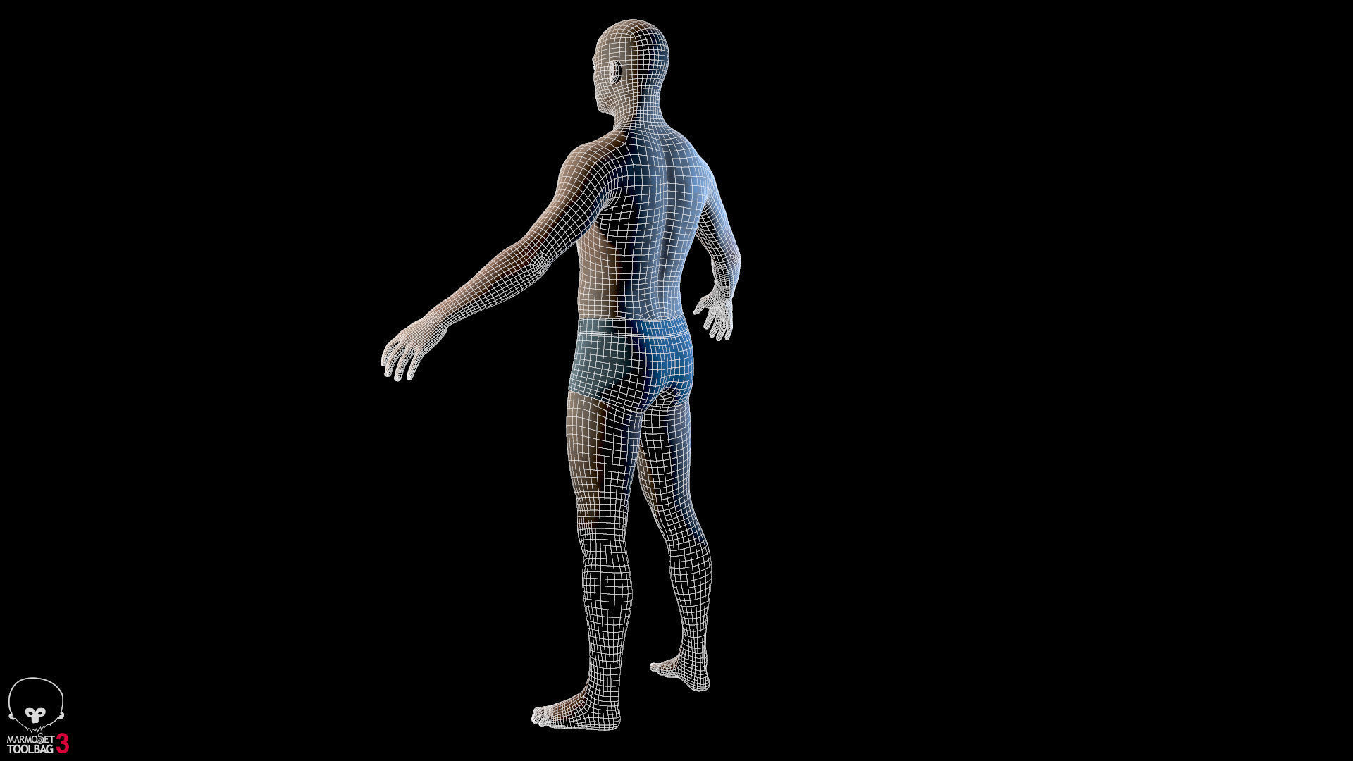 Average Male Body  Low-poly 3D model_27