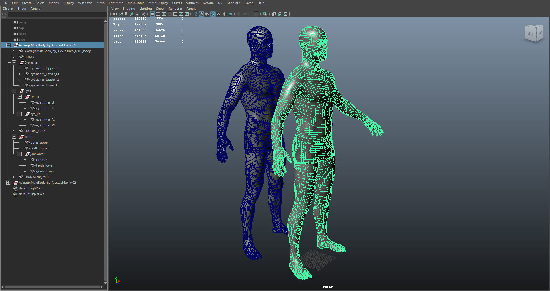 Average Male Body  Low-poly 3D model_55