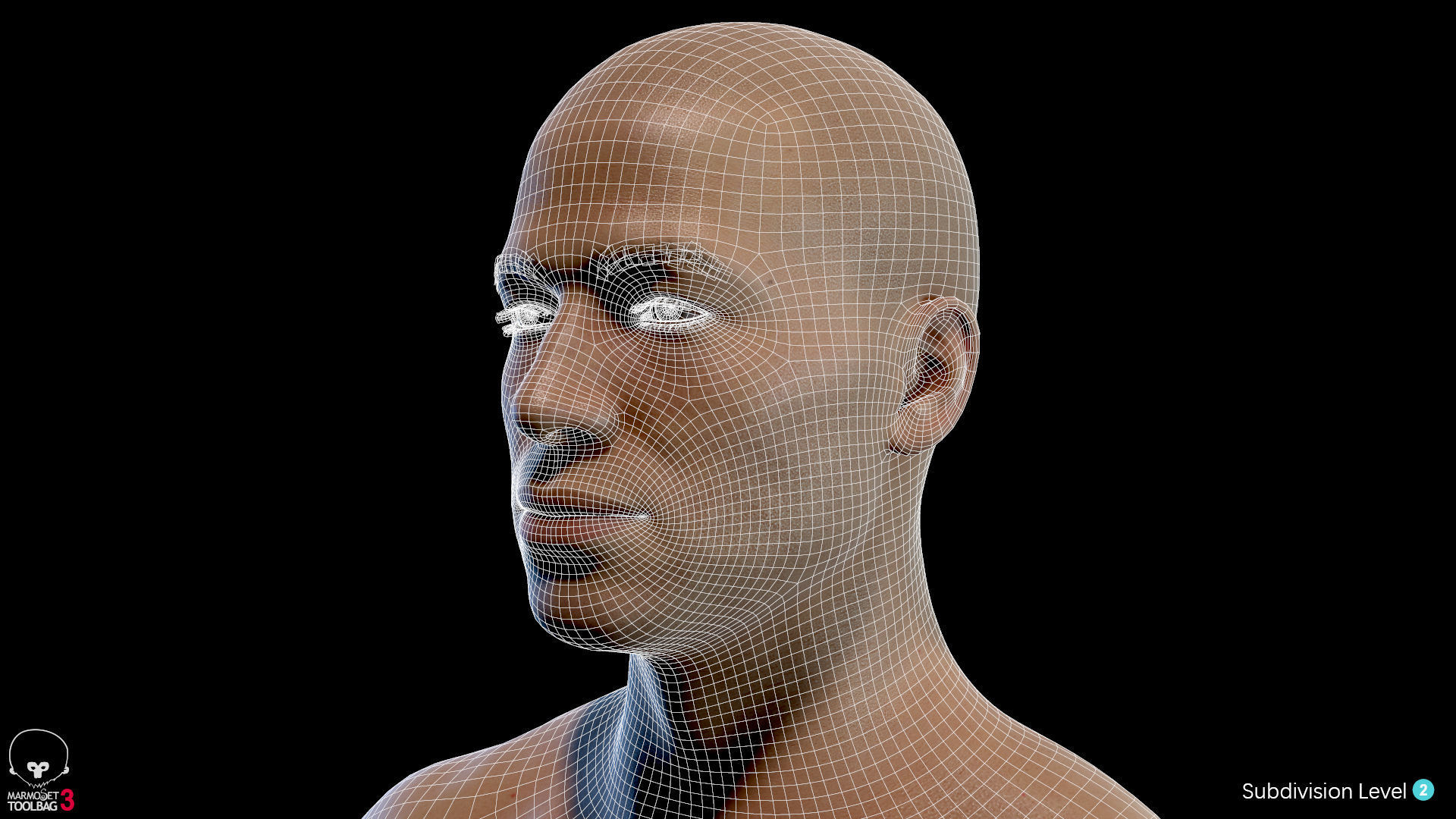 Average Male Body  Low-poly 3D model_32