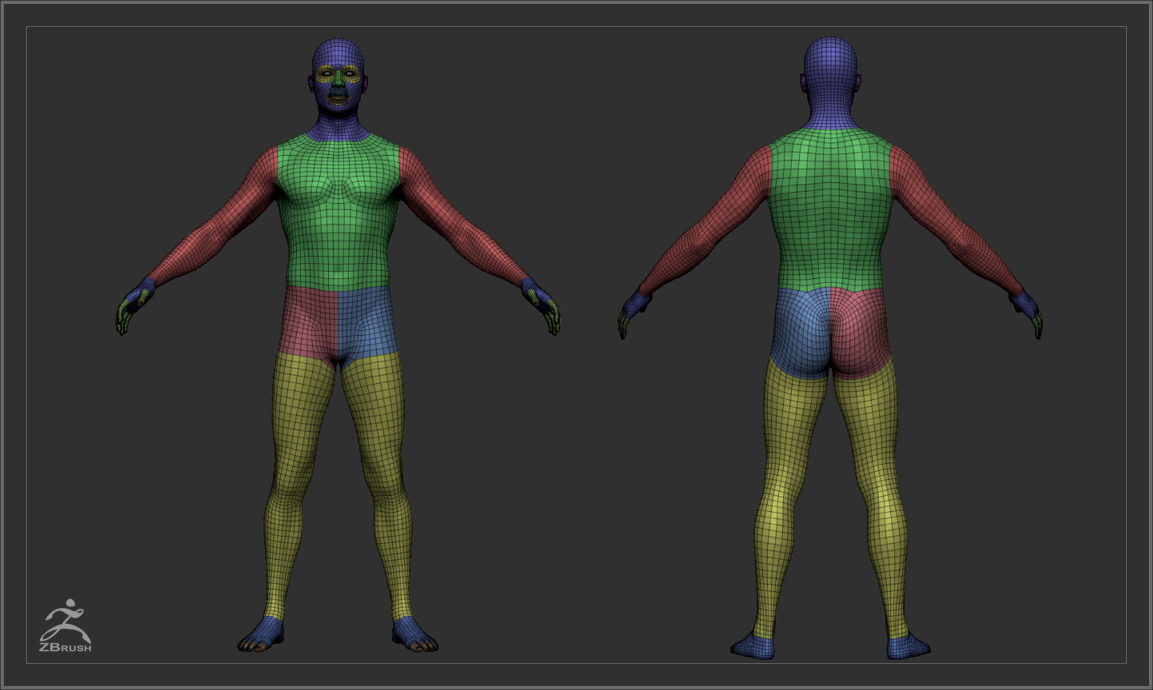 Average Male Body  Low-poly 3D model_47