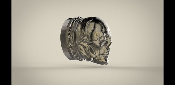 The tip of skull 3D print model
