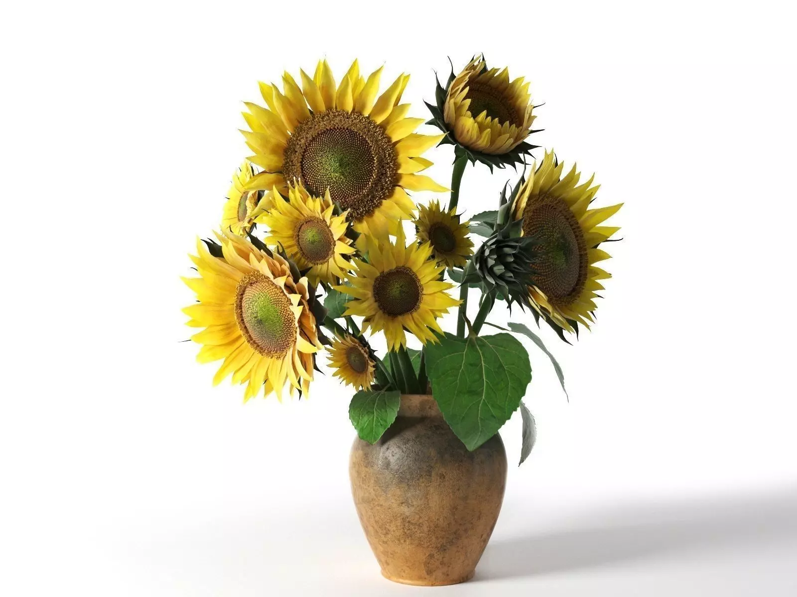 Sunflower in Vase 3D model_0