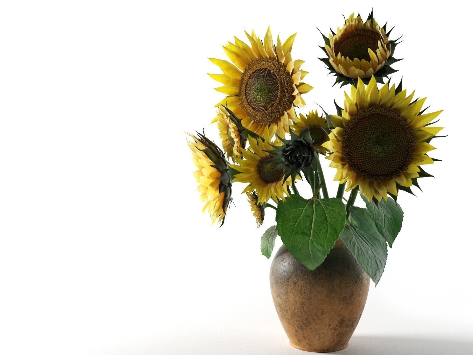 Sunflower in Vase 3D model_1