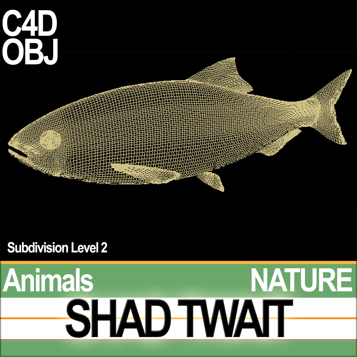 Twait Shad 3D model_9