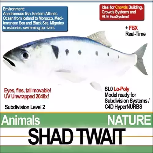 Twait Shad 3D model
