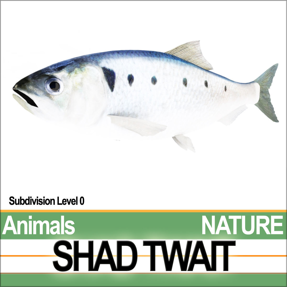Twait Shad 3D model_3