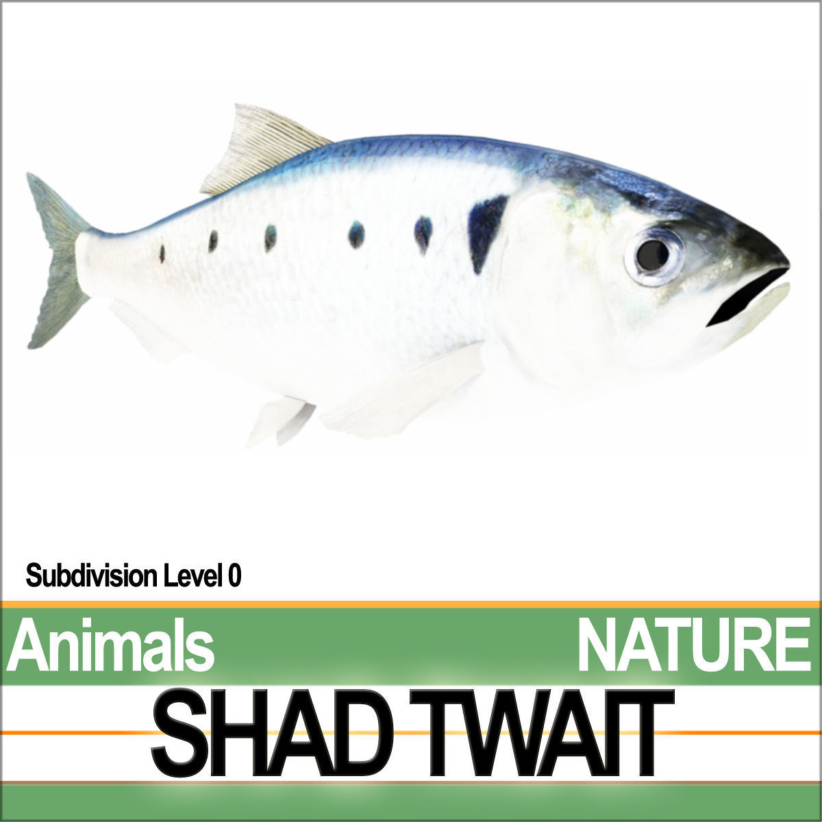 Twait Shad 3D model_4