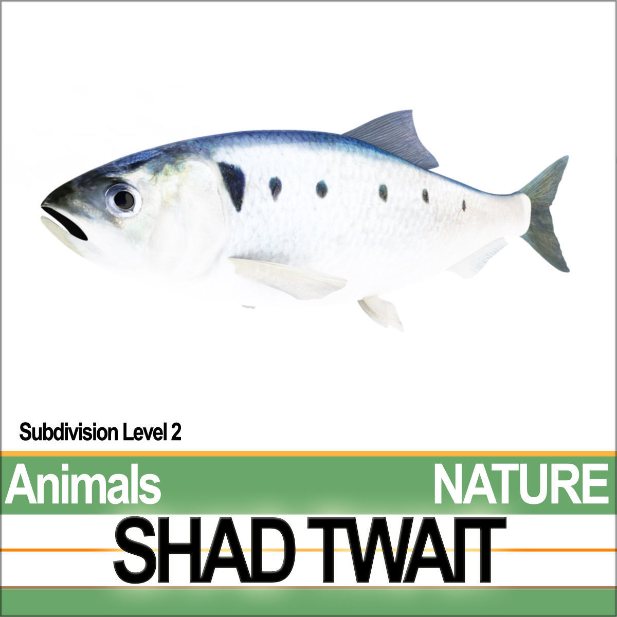 Twait Shad 3D model_5