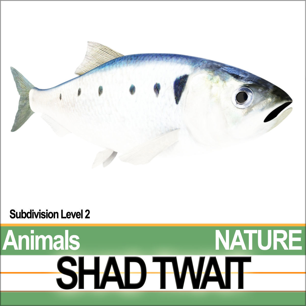 Twait Shad 3D model_1