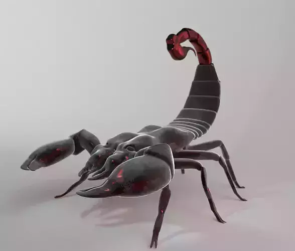 Scorpion 3D model