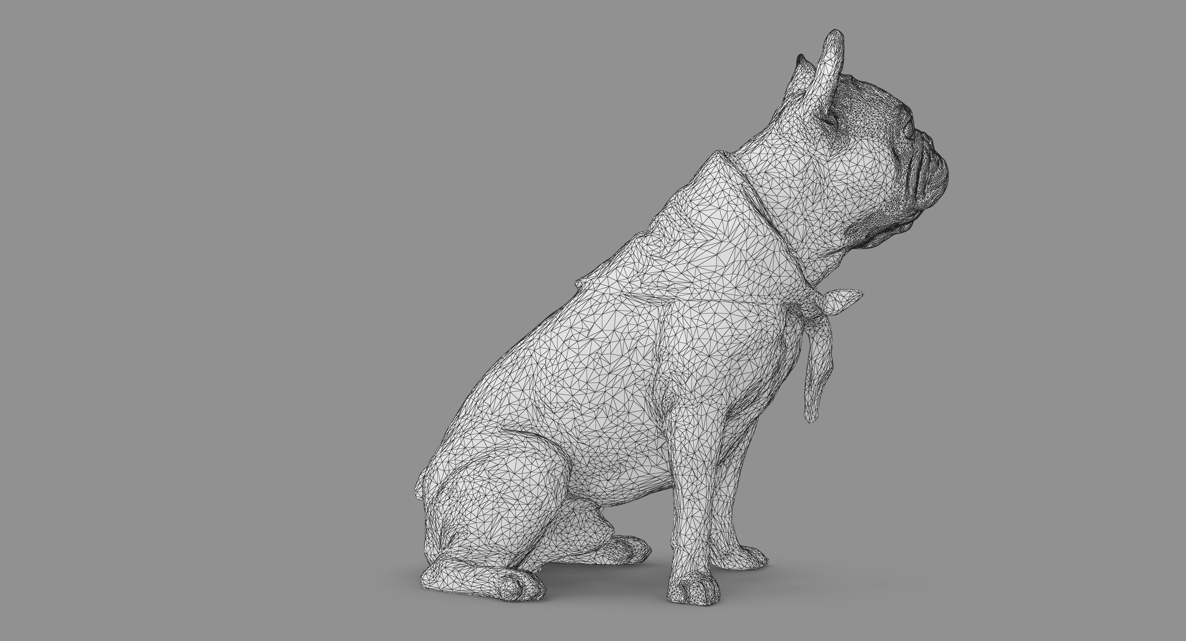 French Bulldog Sitting Low-poly 3D model_54
