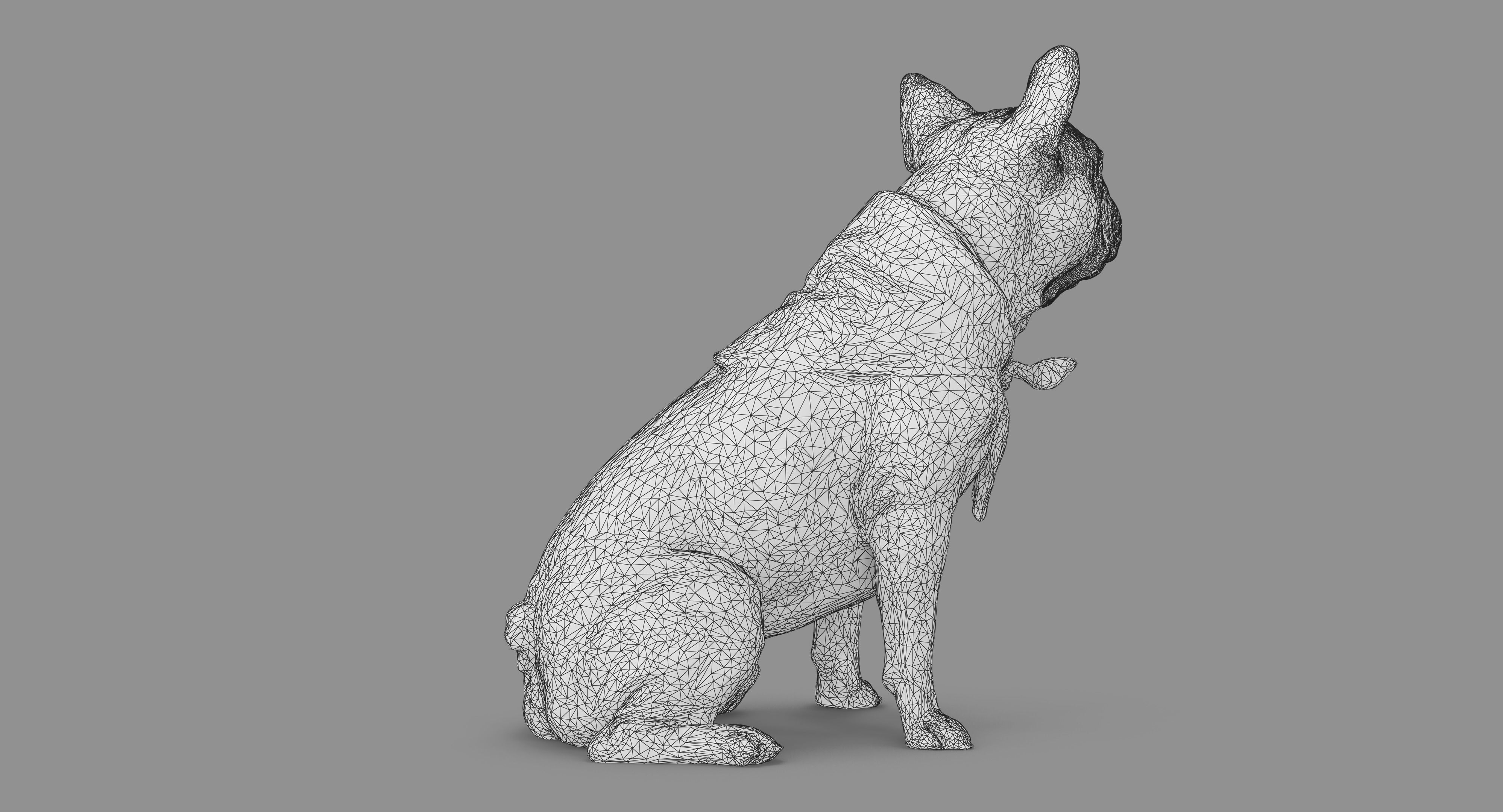 French Bulldog Sitting Low-poly 3D model_58