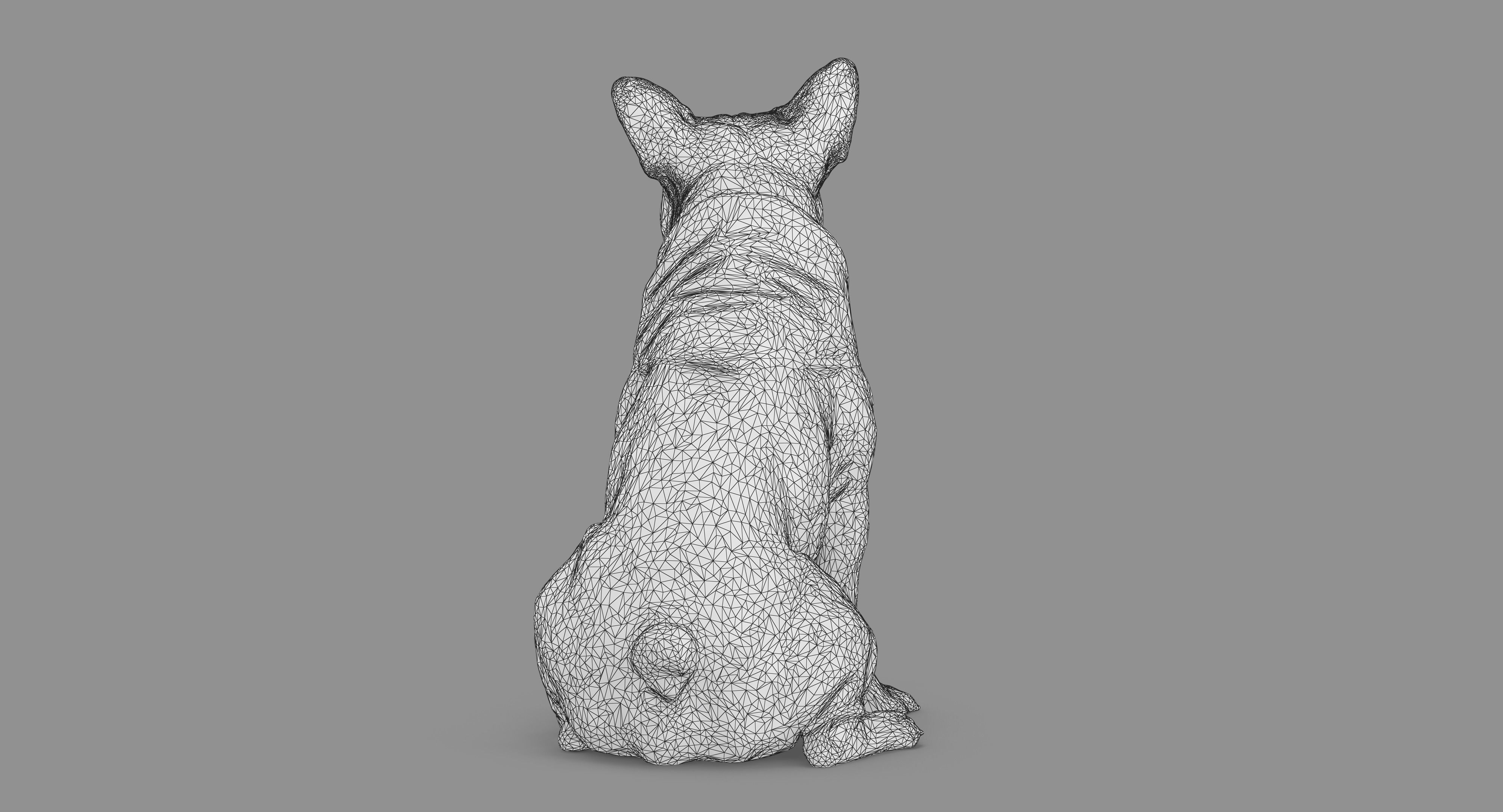 French Bulldog Sitting Low-poly 3D model_66