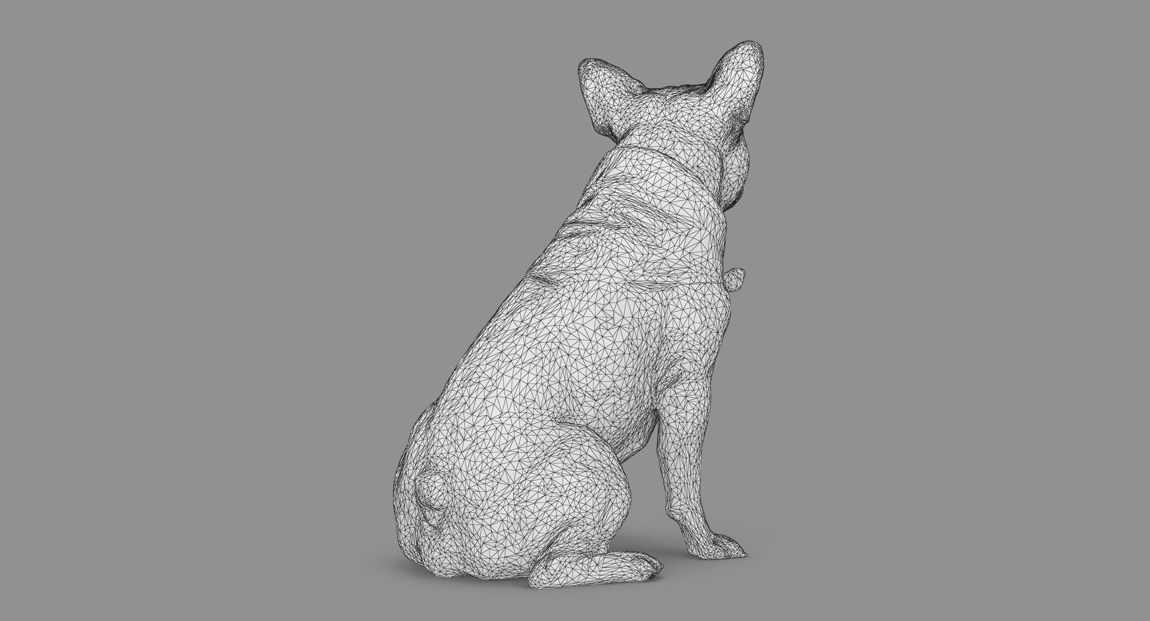 French Bulldog Sitting Low-poly 3D model_62