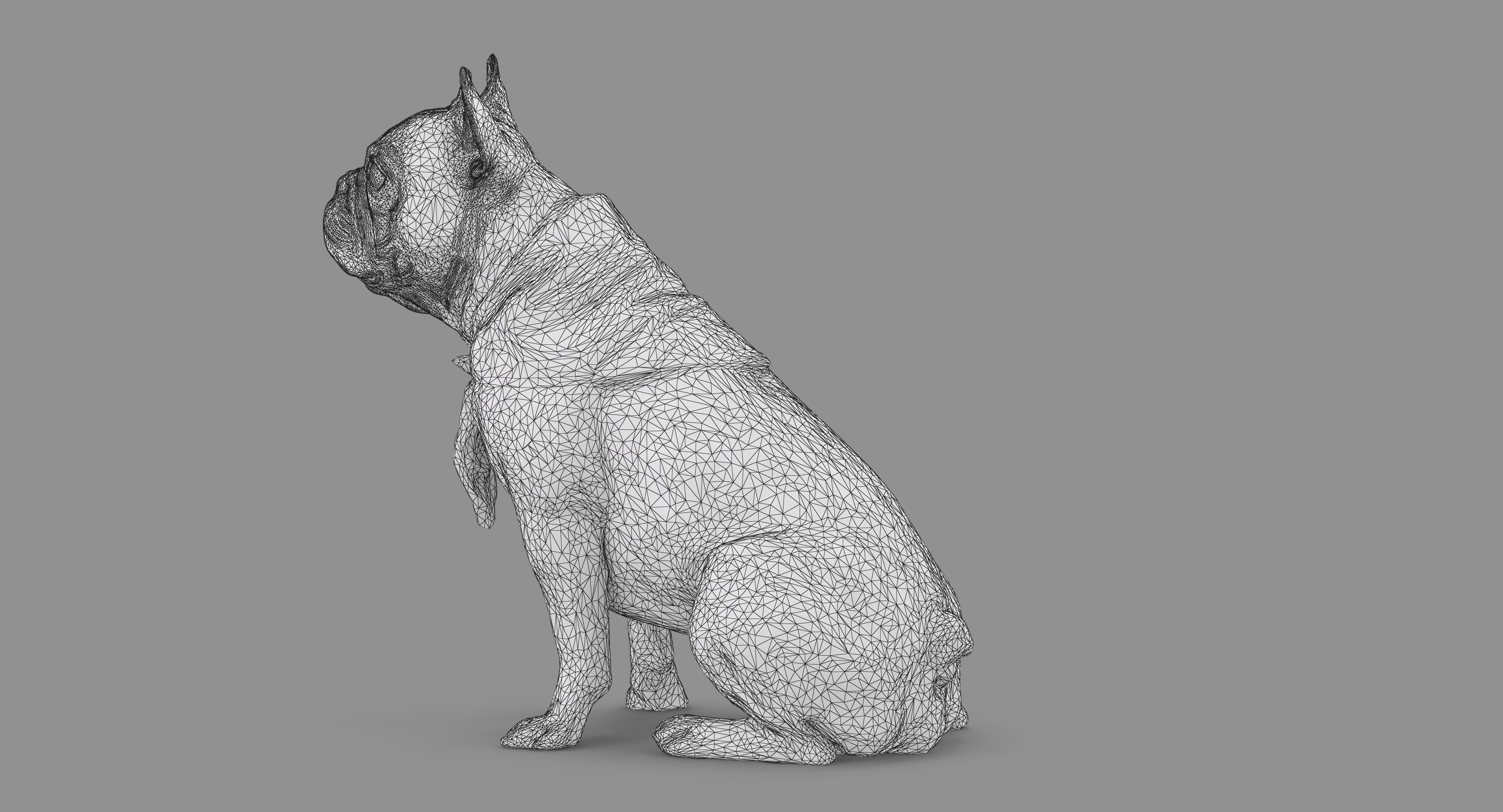 French Bulldog Sitting Low-poly 3D model_76