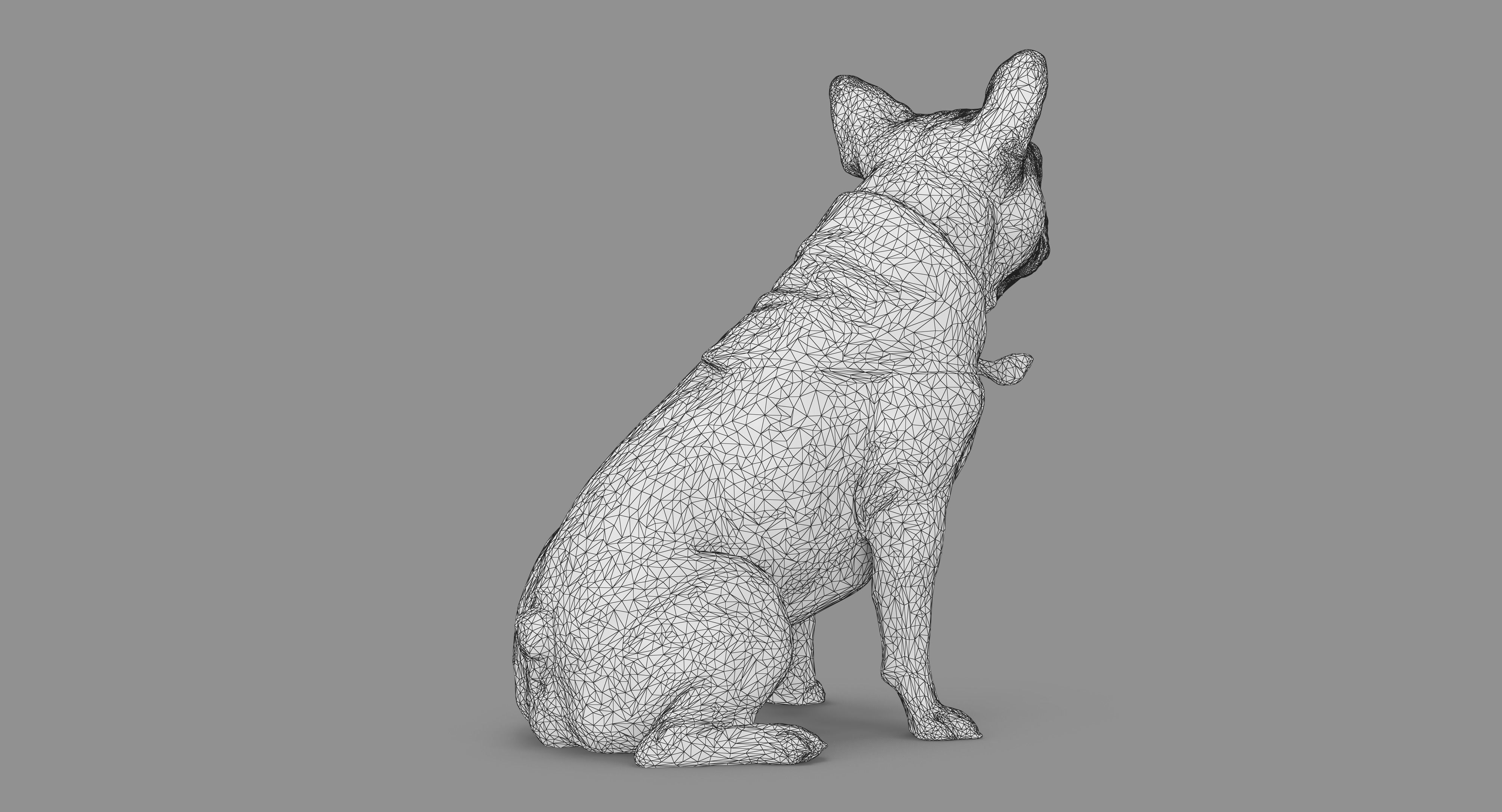French Bulldog Sitting Low-poly 3D model_60