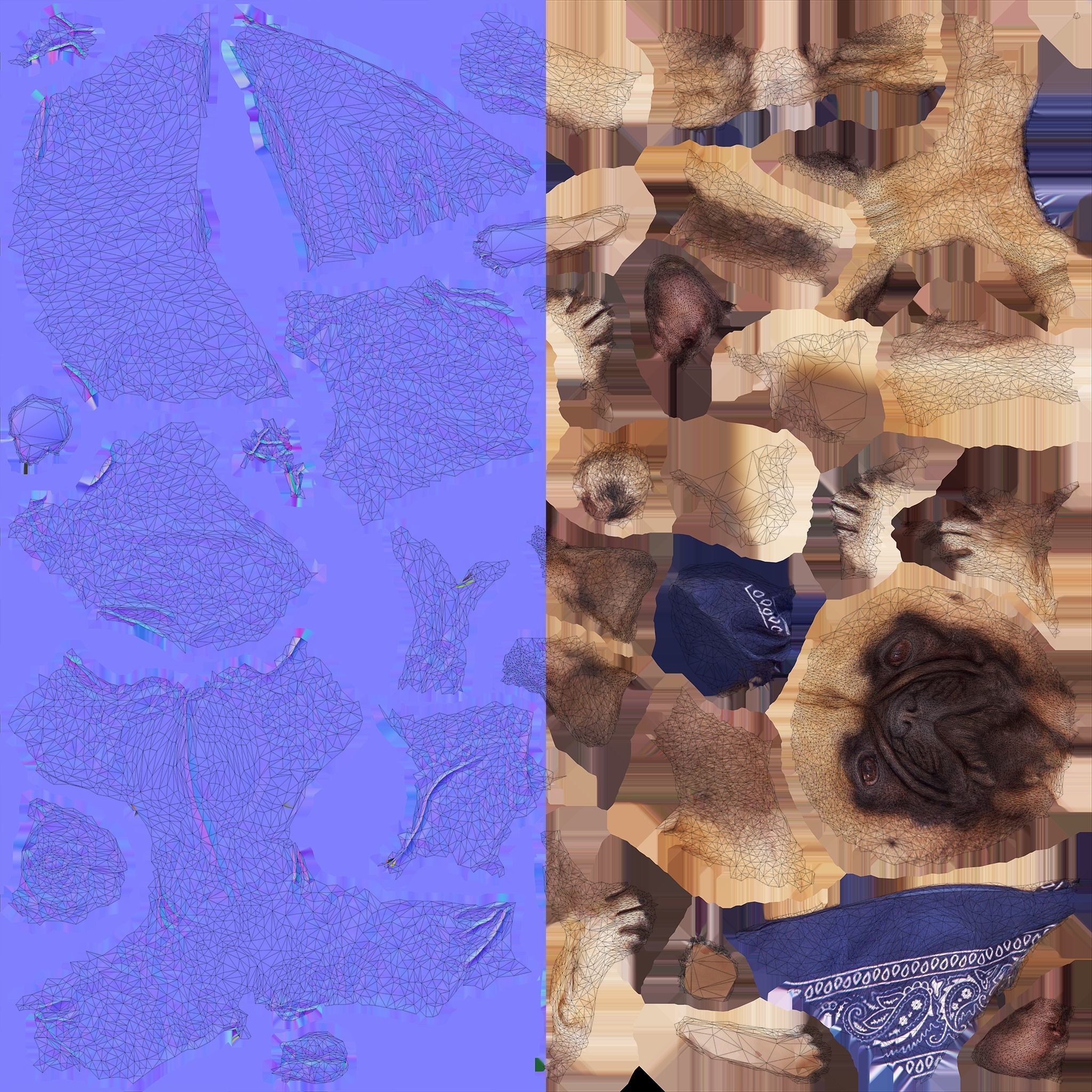 French Bulldog Sitting Low-poly 3D model_6