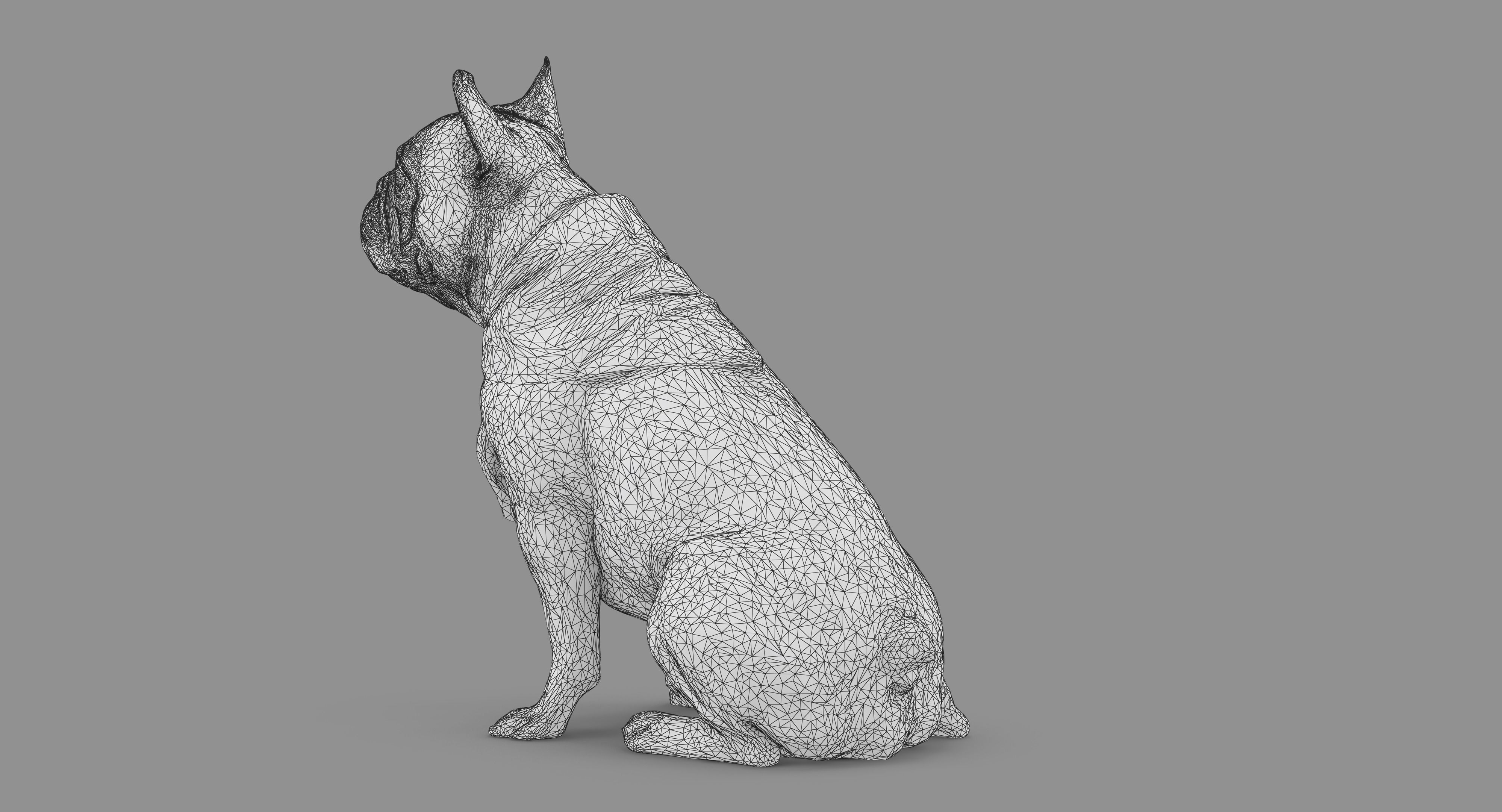 French Bulldog Sitting Low-poly 3D model_74