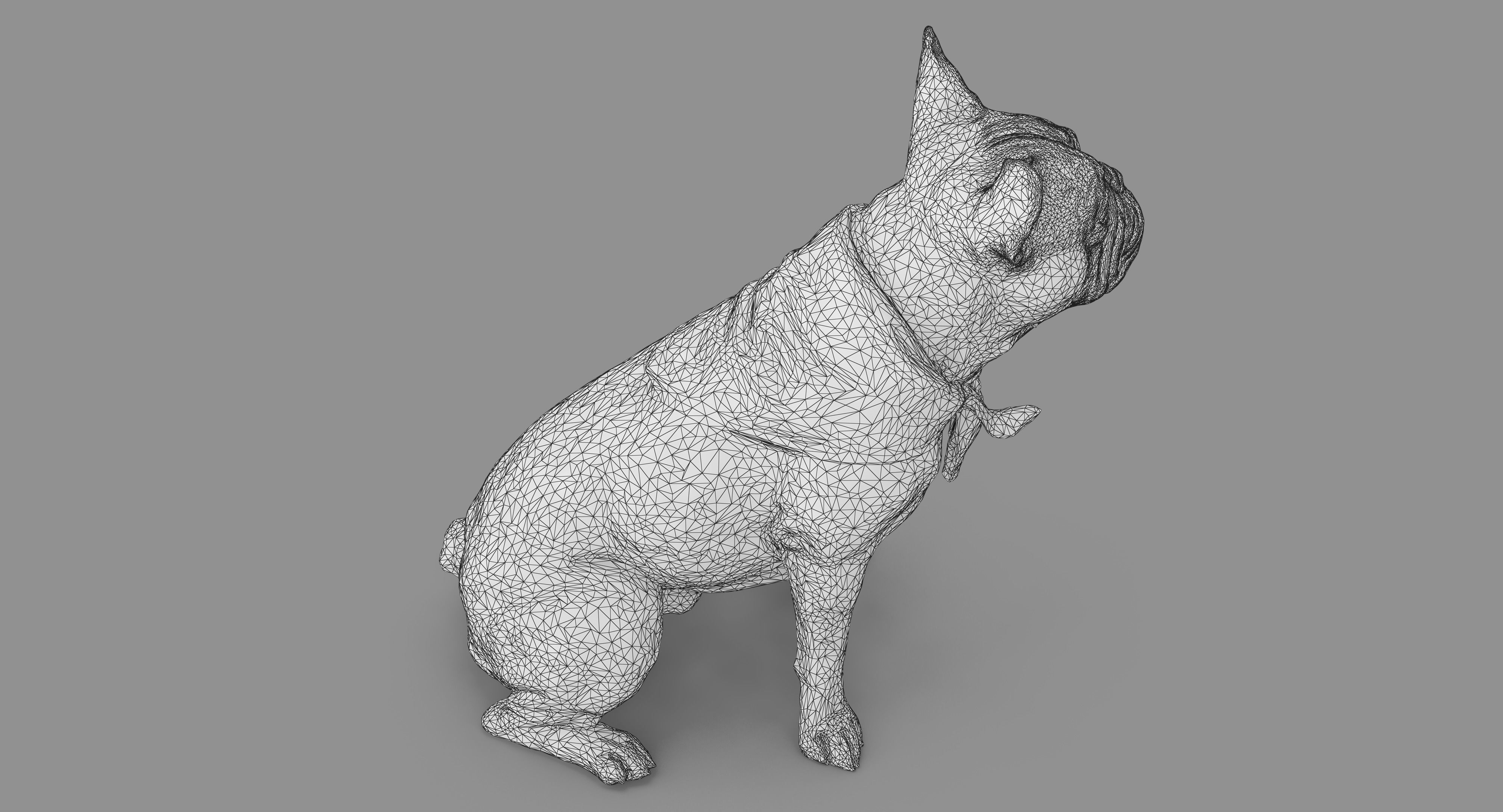 French Bulldog Sitting Low-poly 3D model_38