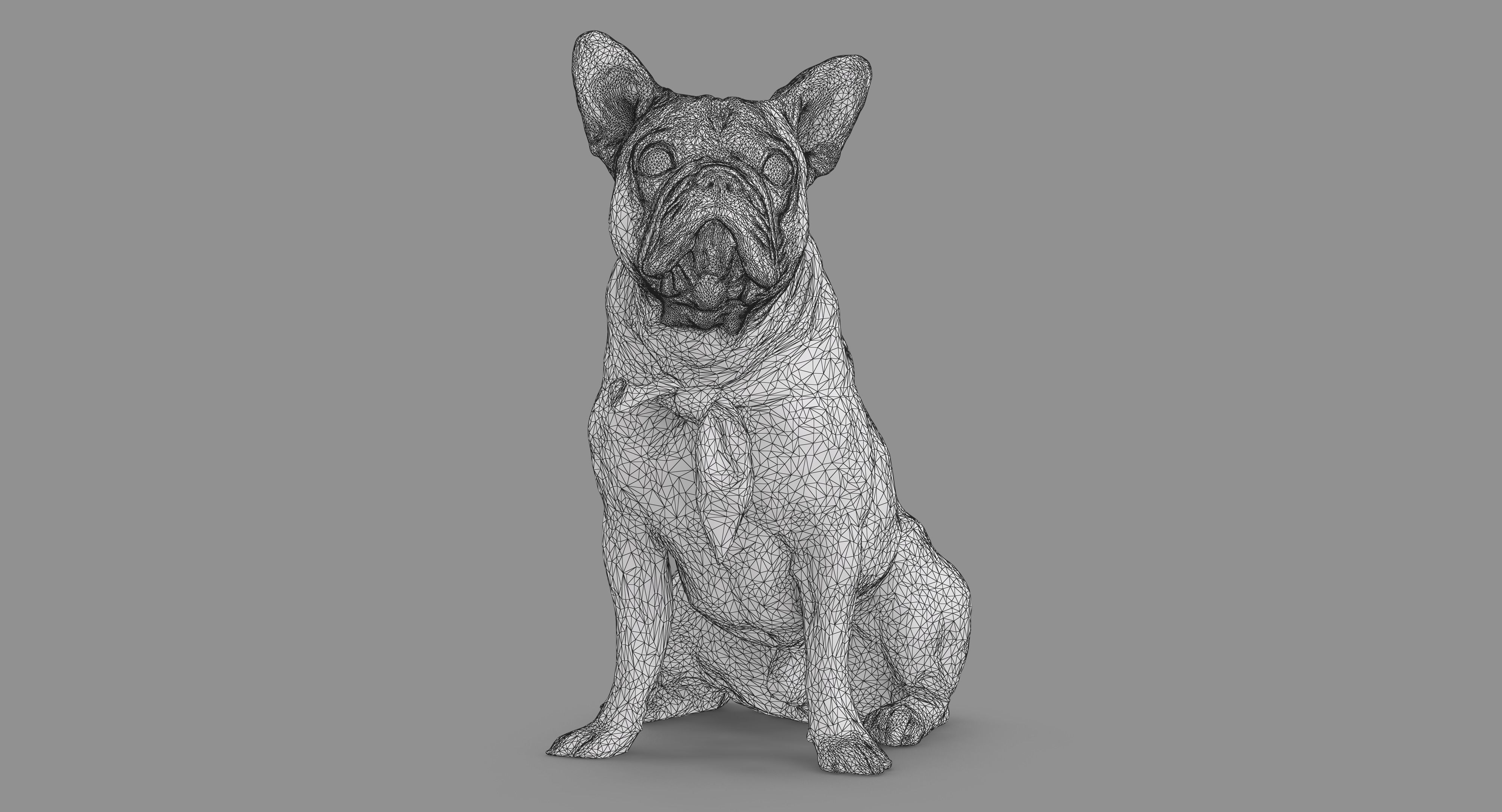 French Bulldog Sitting Low-poly 3D model_42