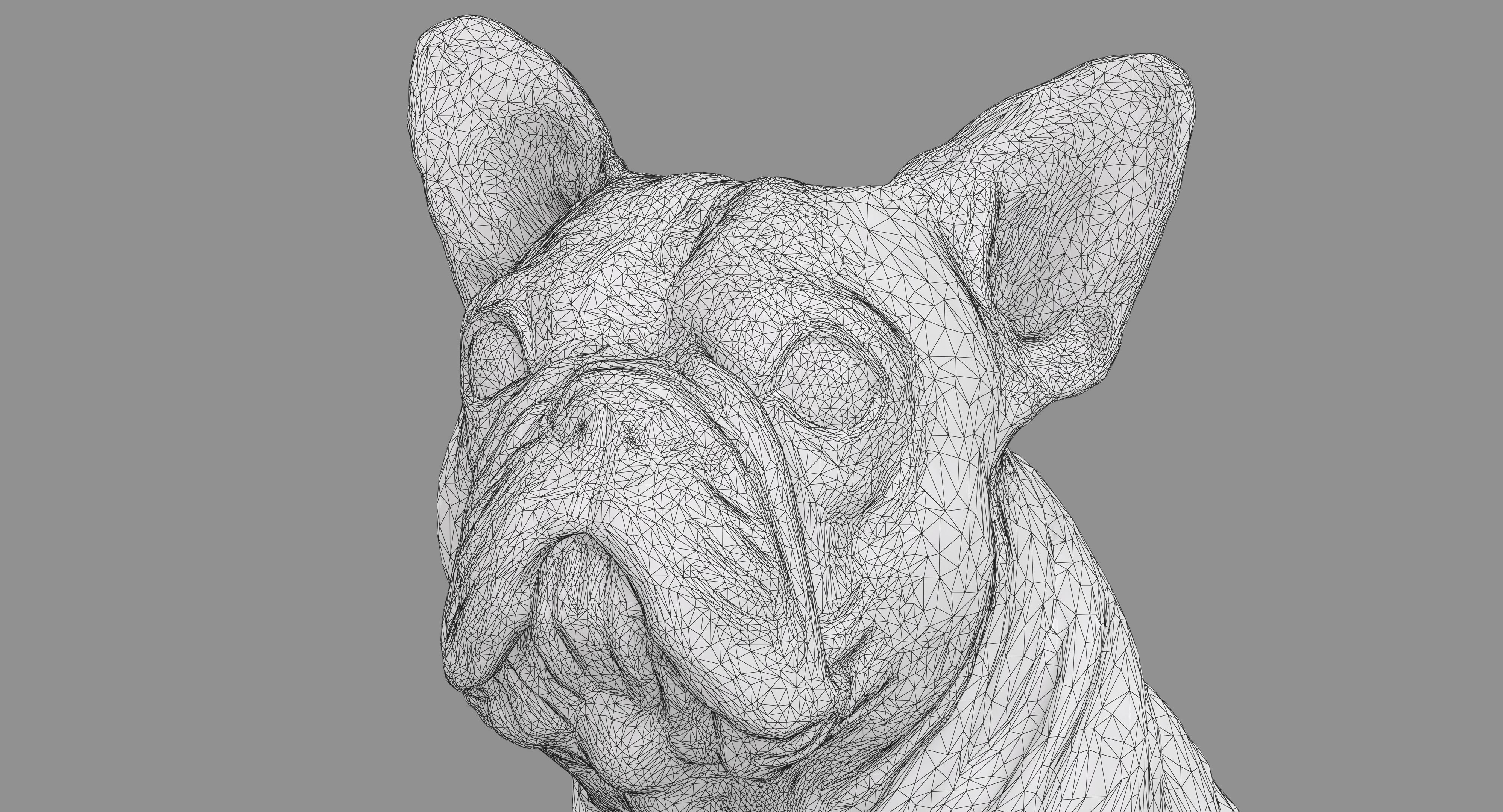 French Bulldog Sitting Low-poly 3D model_10