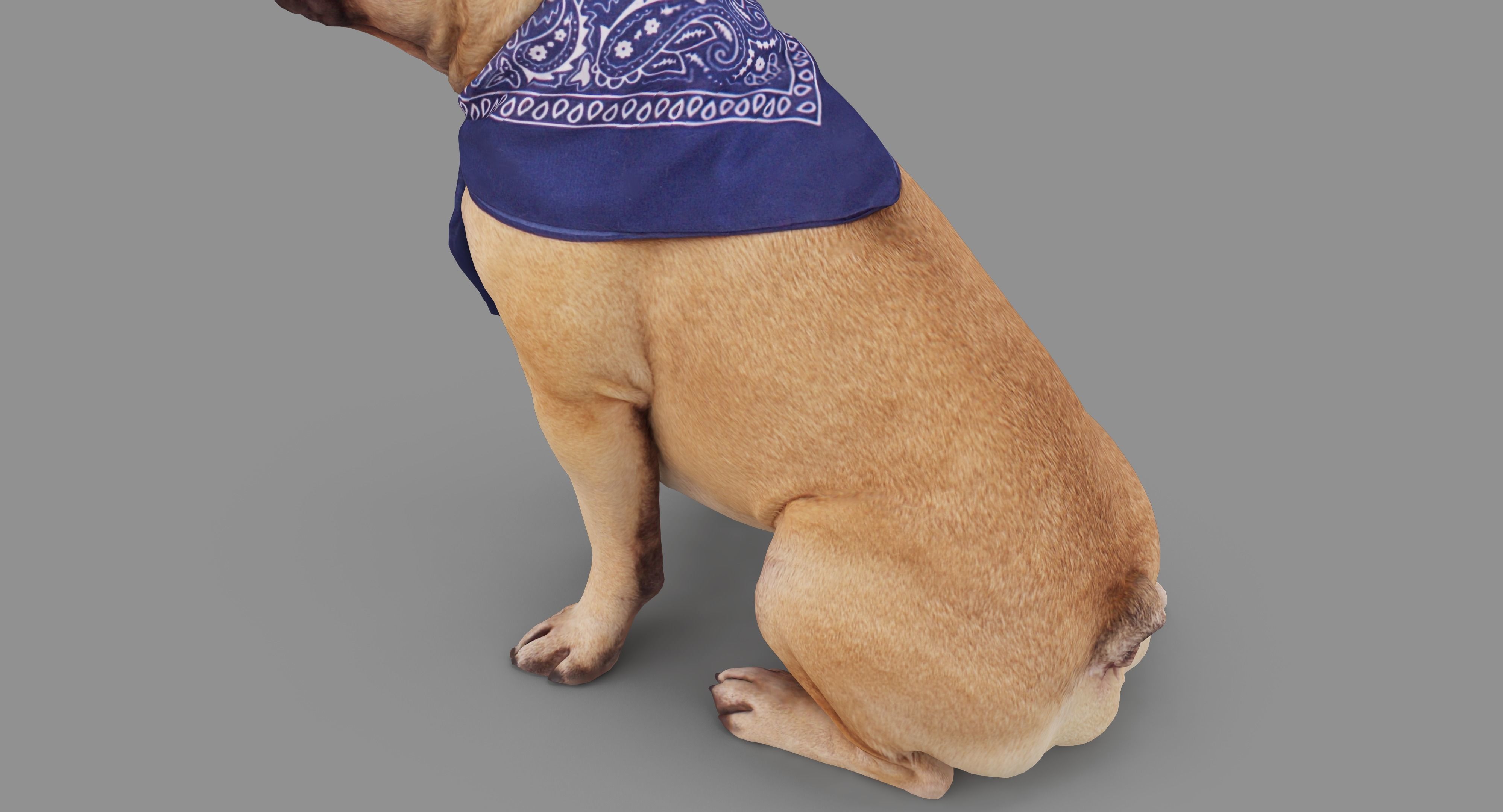 French Bulldog Sitting Low-poly 3D model_33