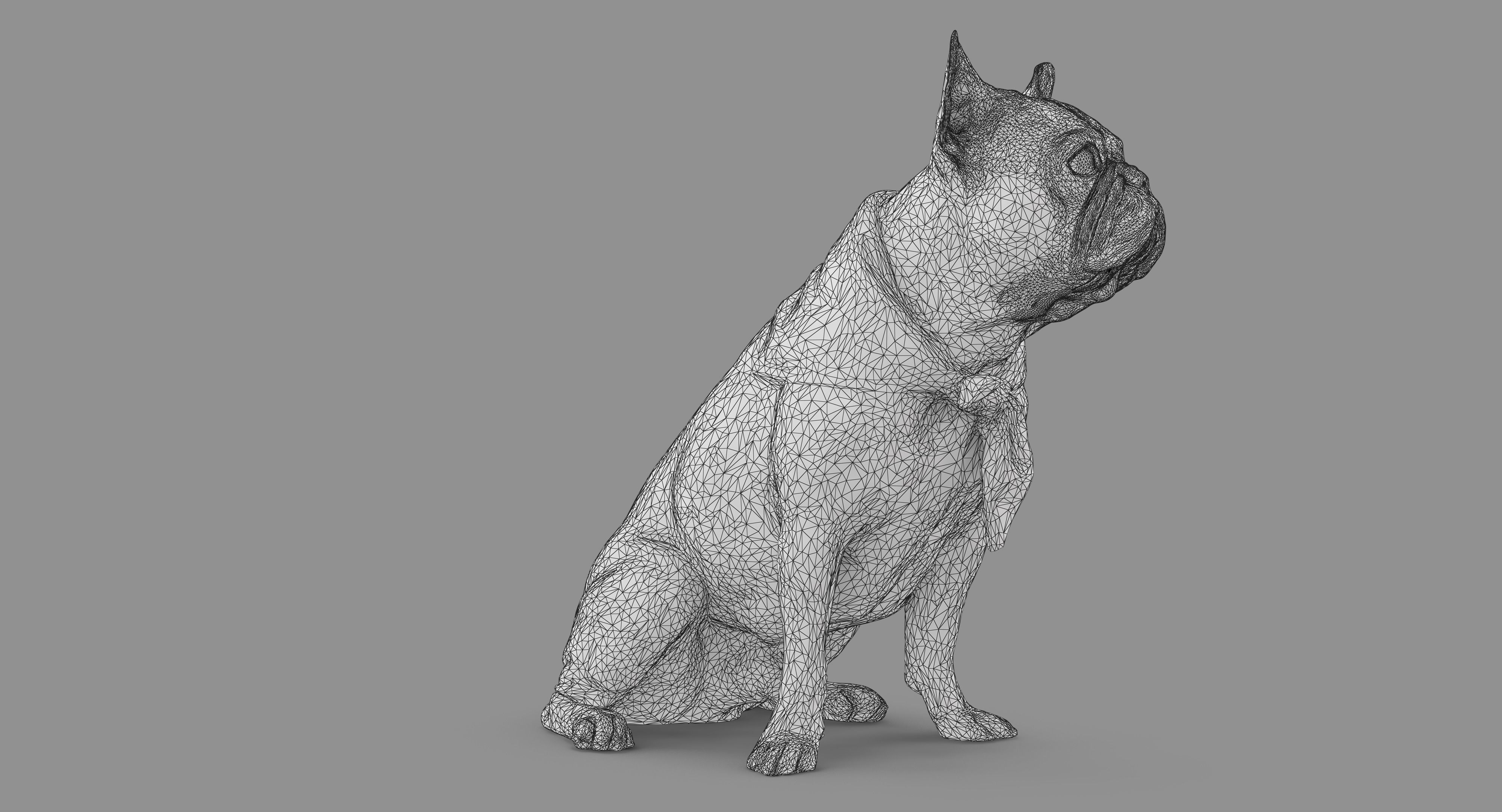French Bulldog Sitting Low-poly 3D model_50