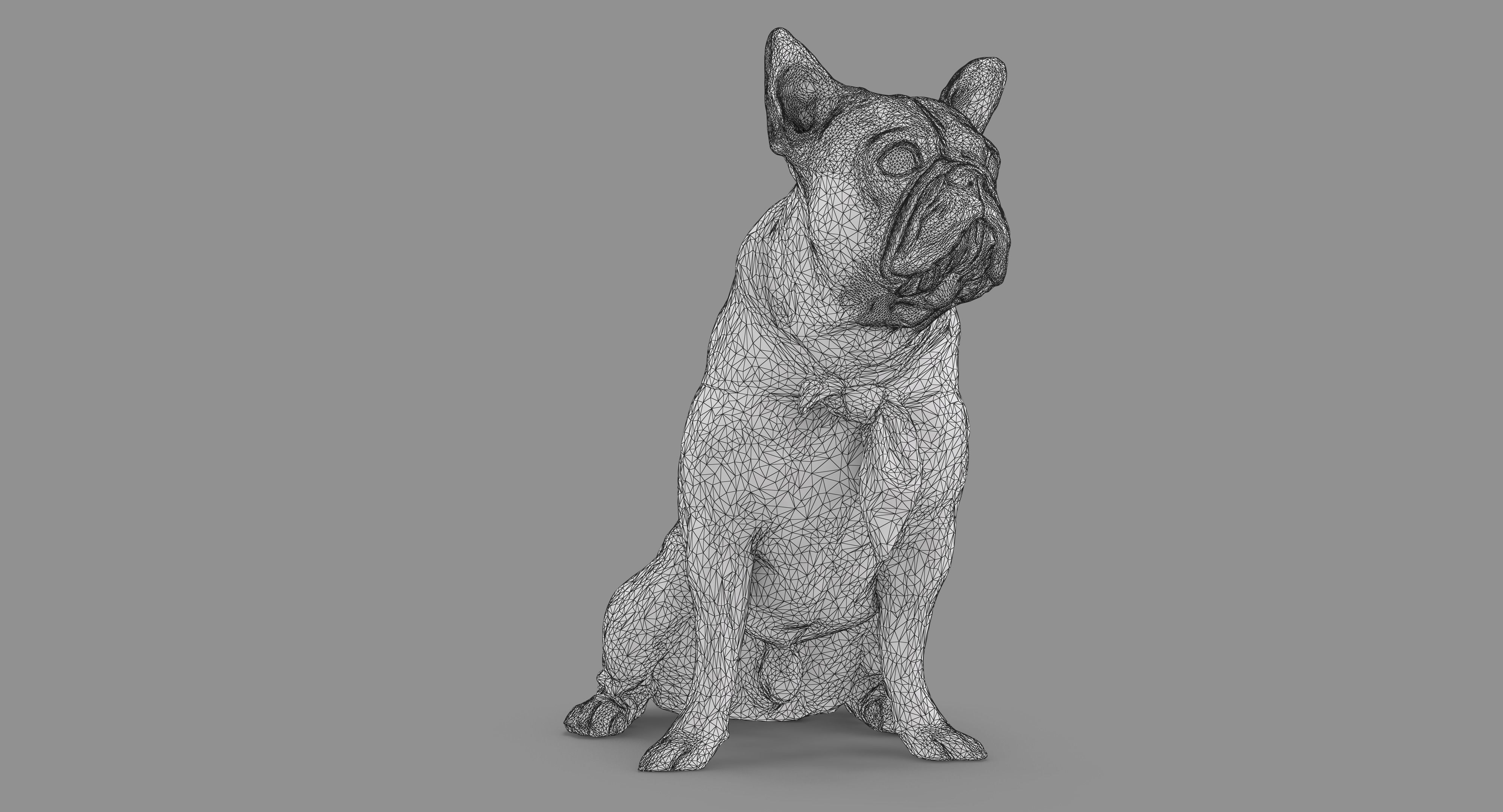 French Bulldog Sitting Low-poly 3D model_46