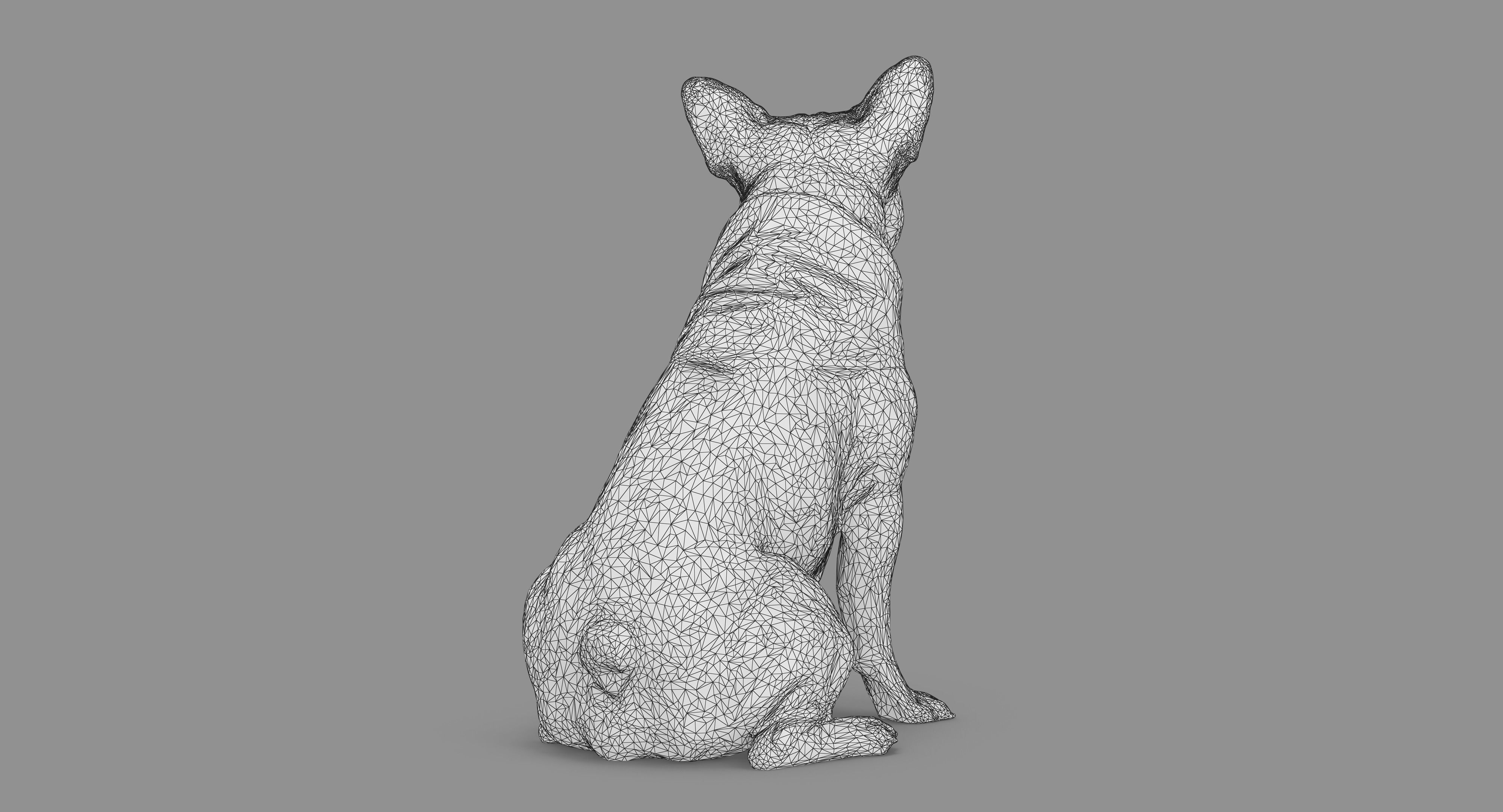 French Bulldog Sitting Low-poly 3D model_64