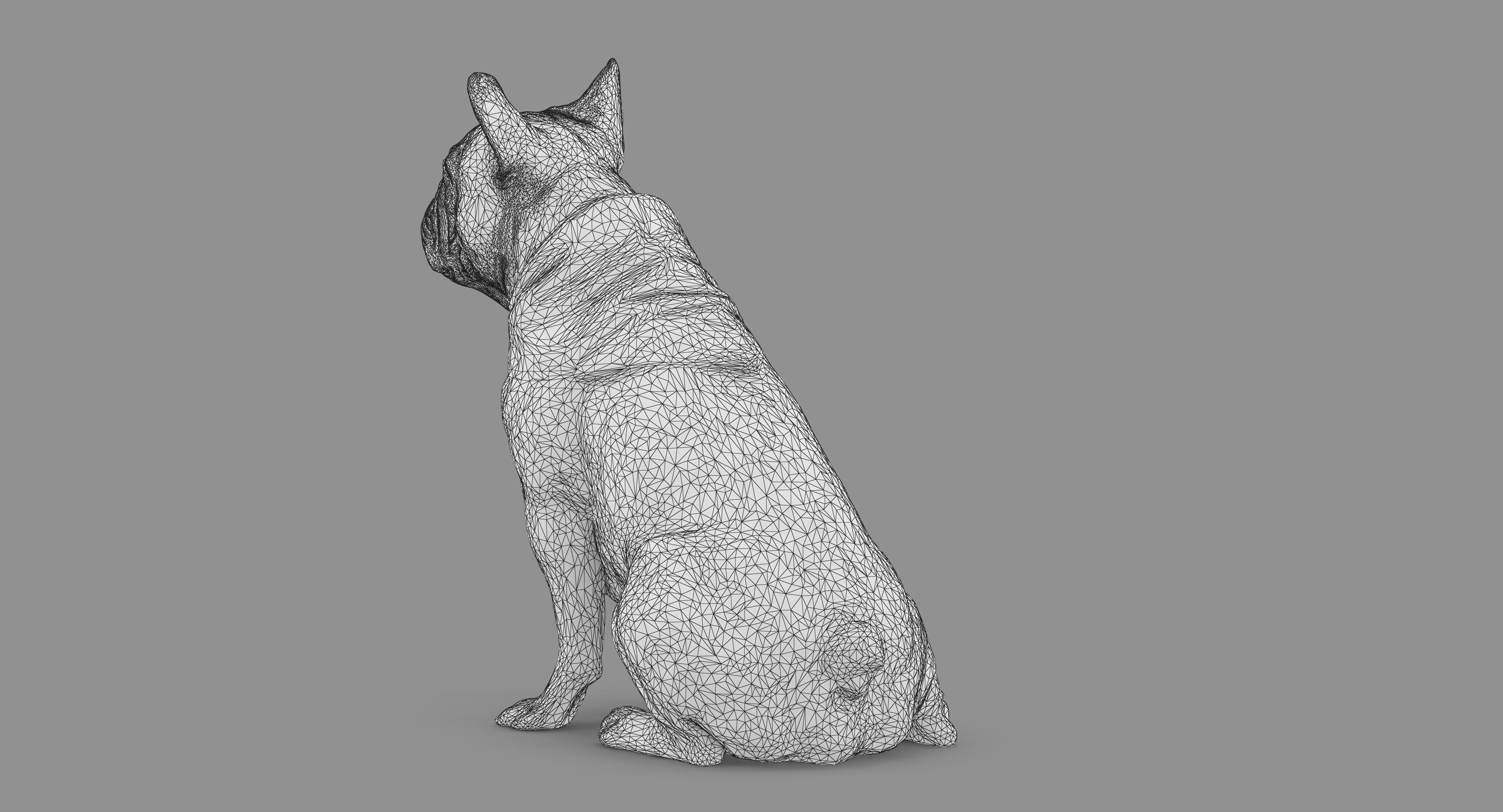 French Bulldog Sitting Low-poly 3D model_72