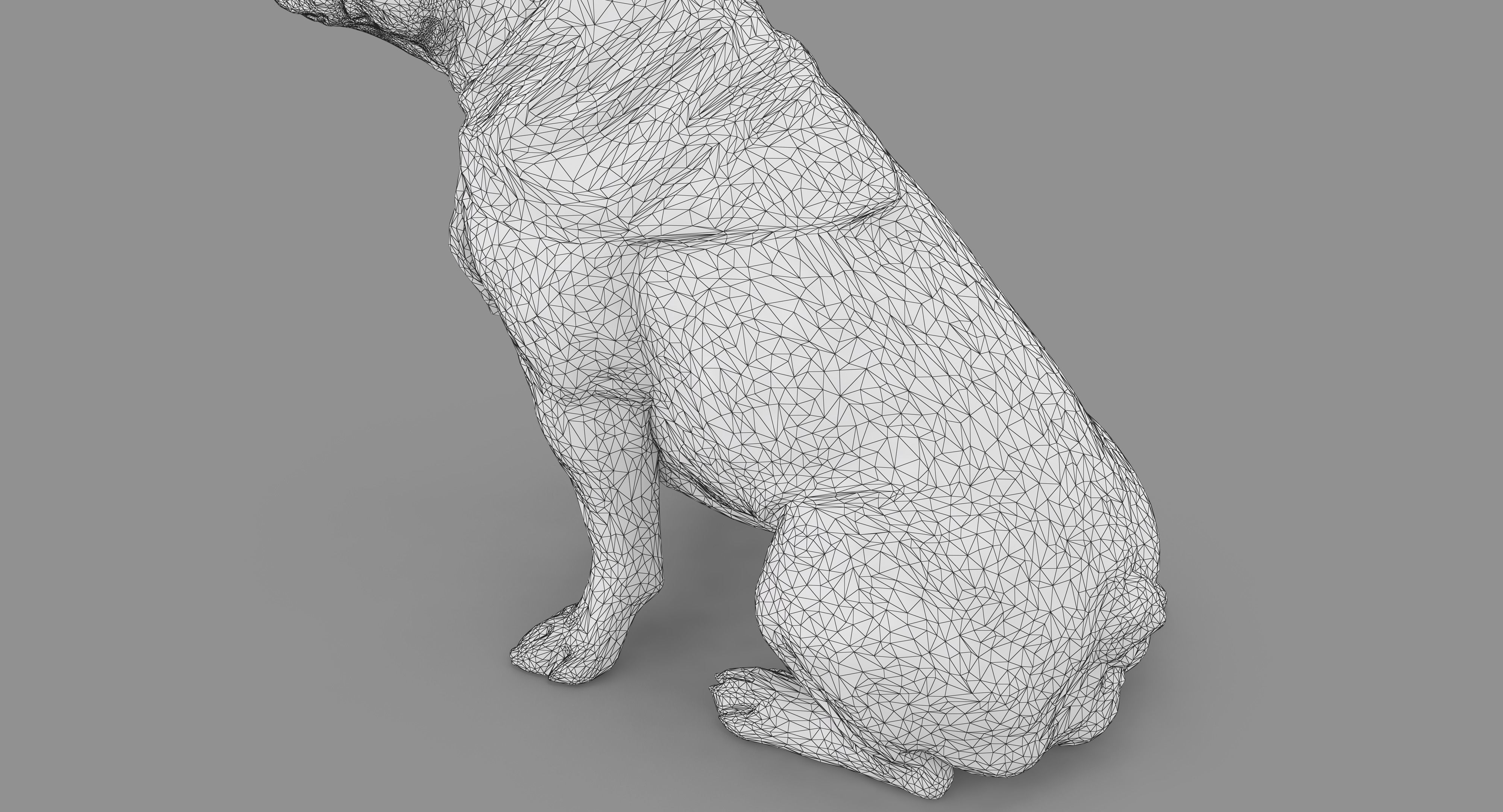 French Bulldog Sitting Low-poly 3D model_34