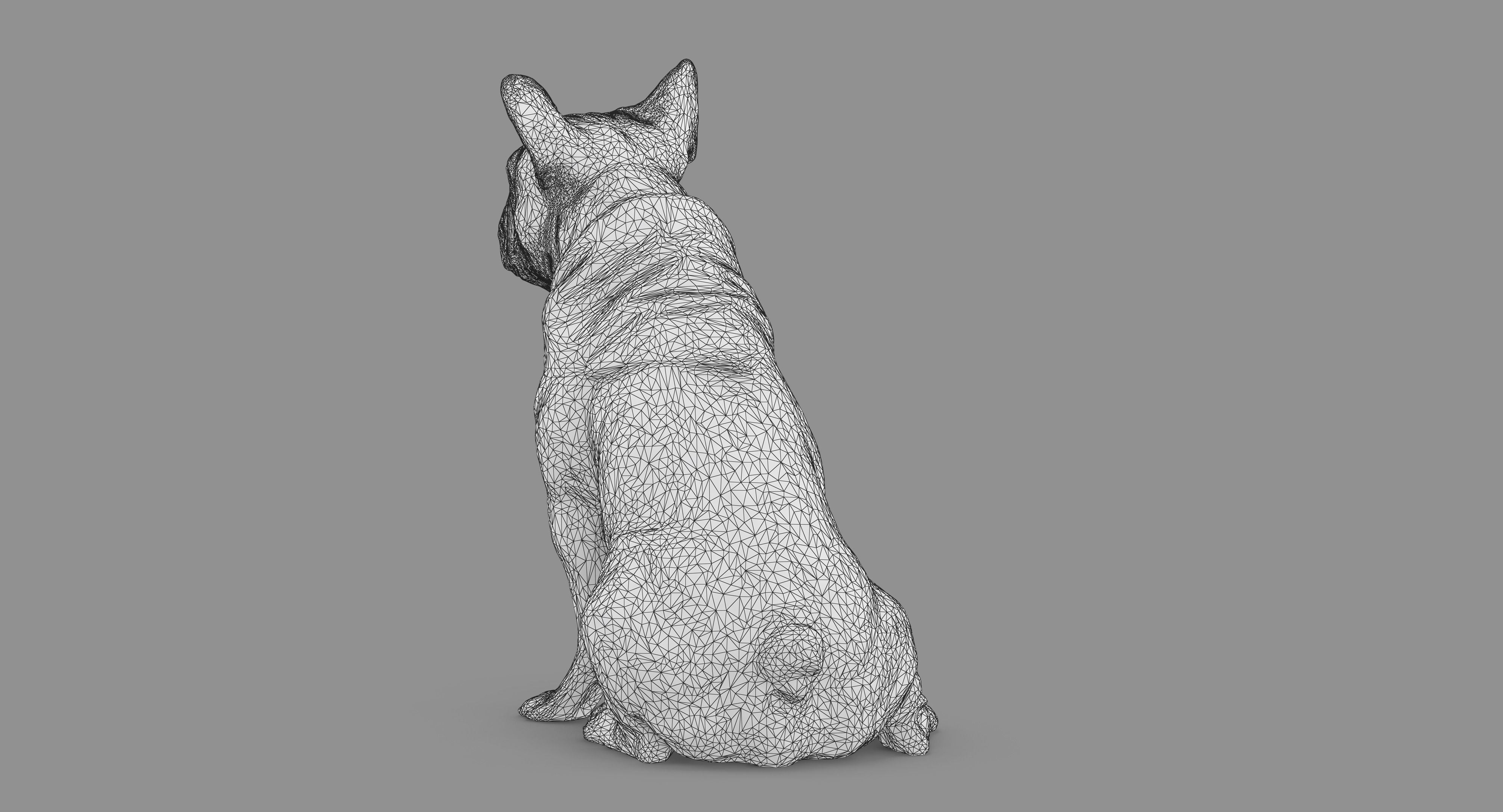 French Bulldog Sitting Low-poly 3D model_70