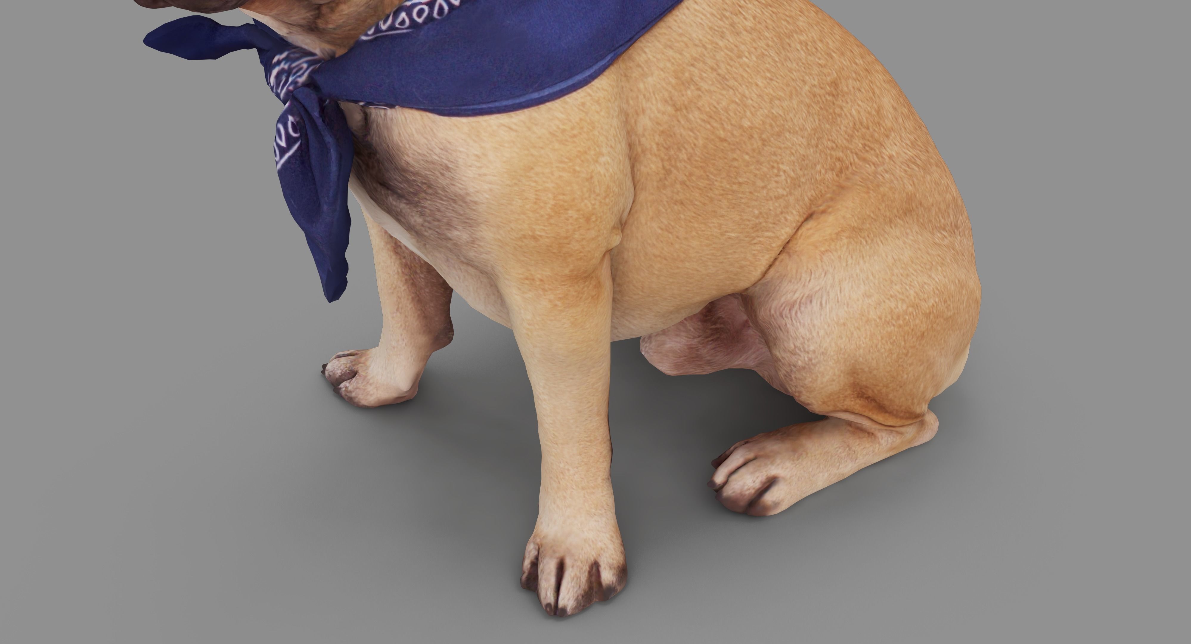 French Bulldog Sitting Low-poly 3D model_35