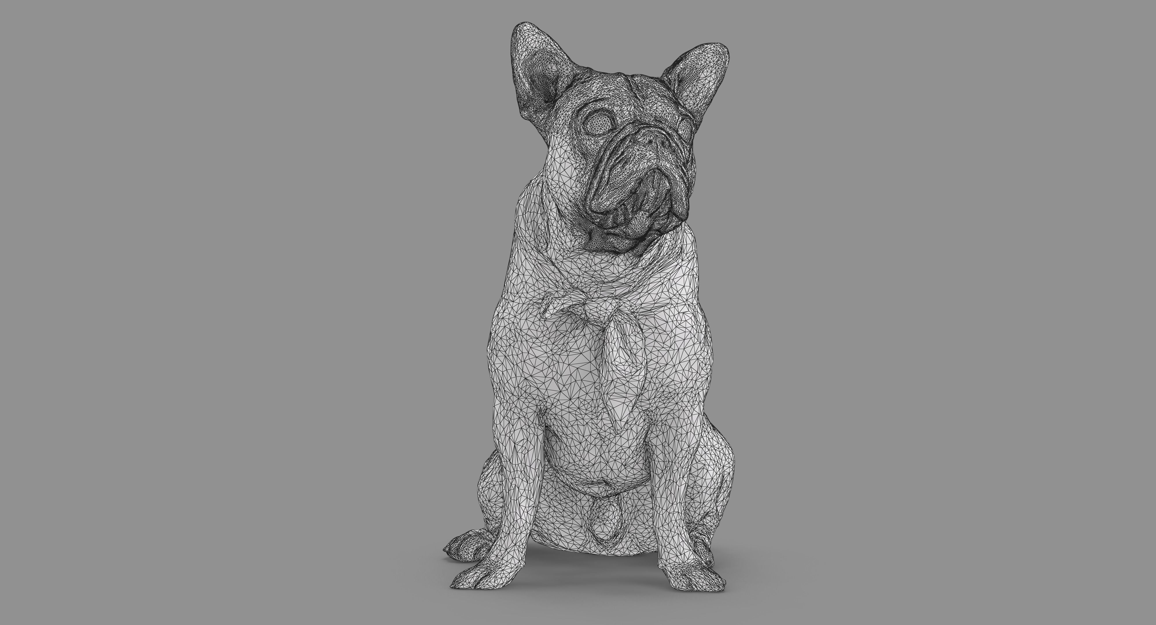French Bulldog Sitting Low-poly 3D model_44