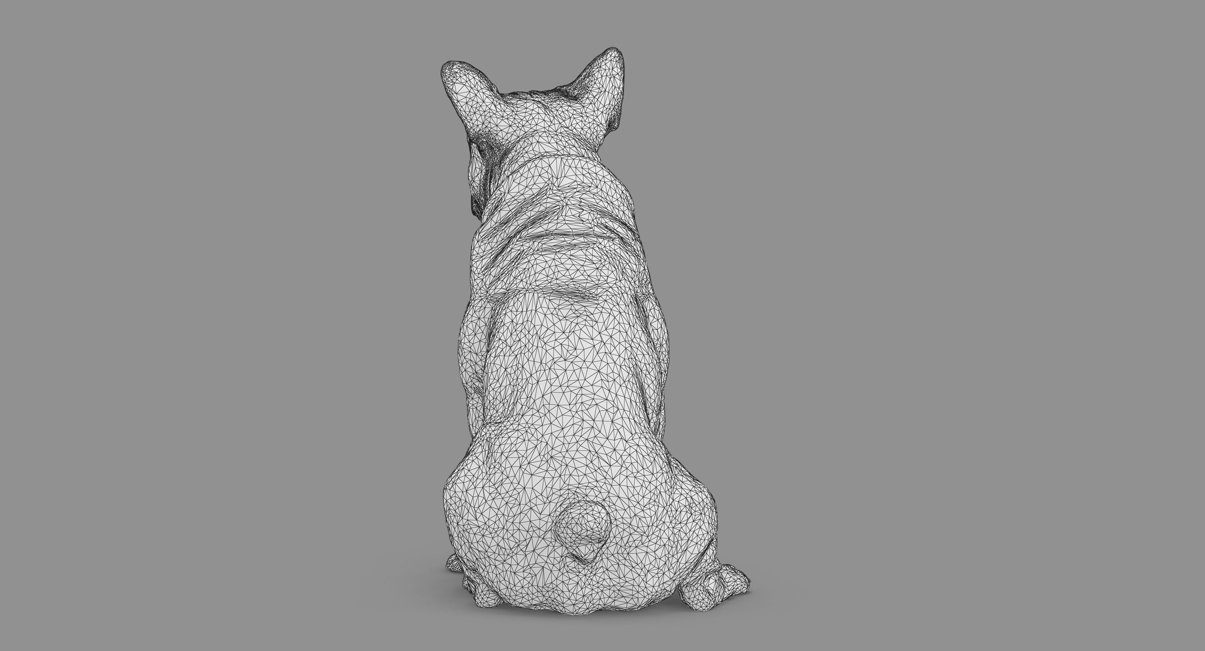 French Bulldog Sitting Low-poly 3D model_68