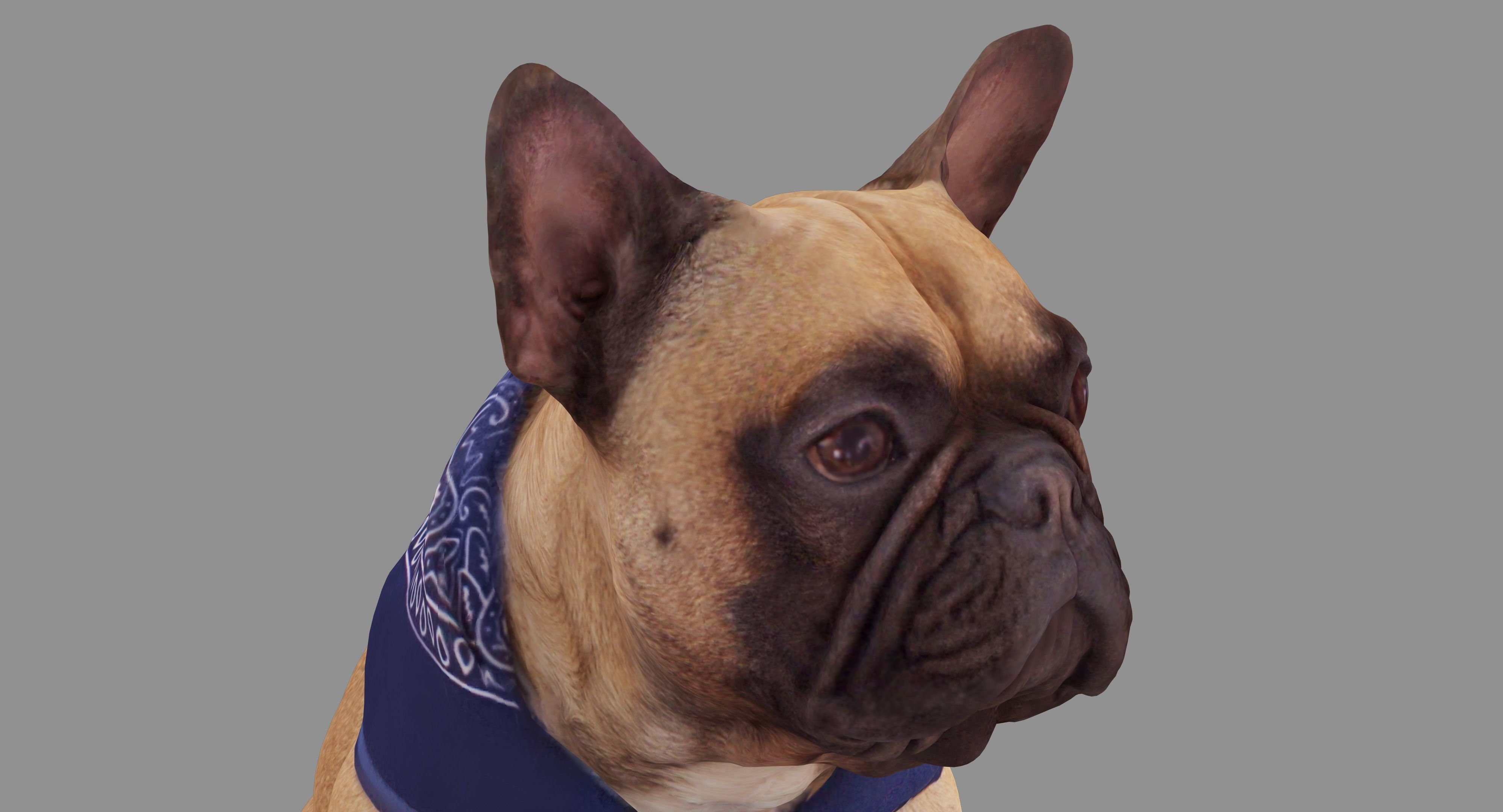 French Bulldog Sitting Low-poly 3D model_15