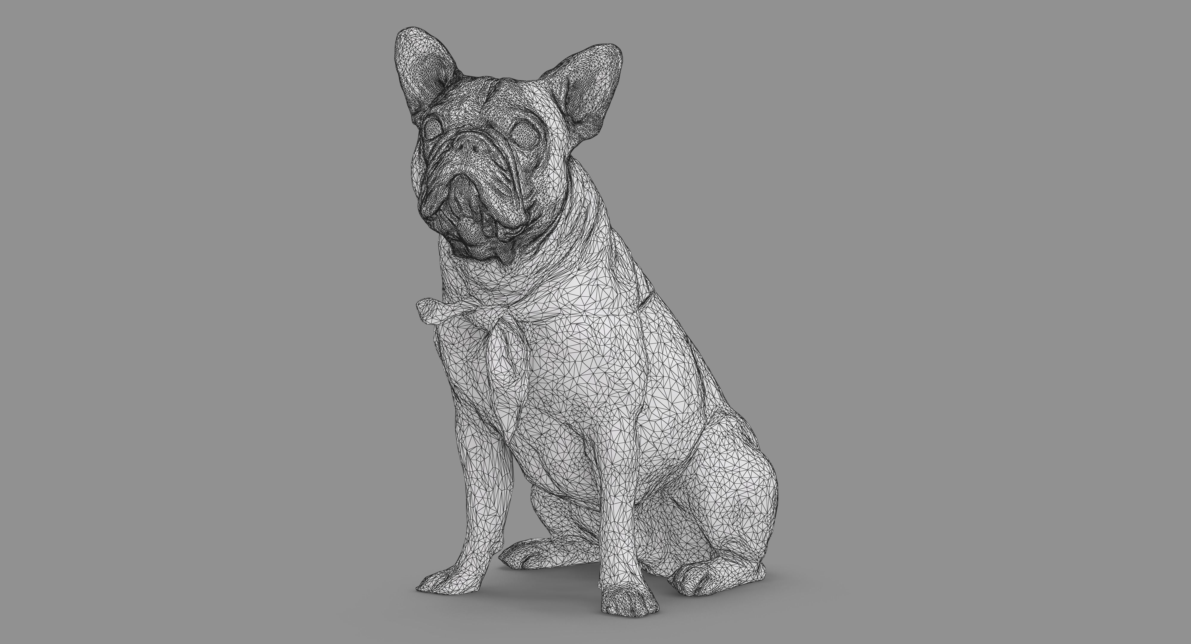 French Bulldog Sitting Low-poly 3D model_40