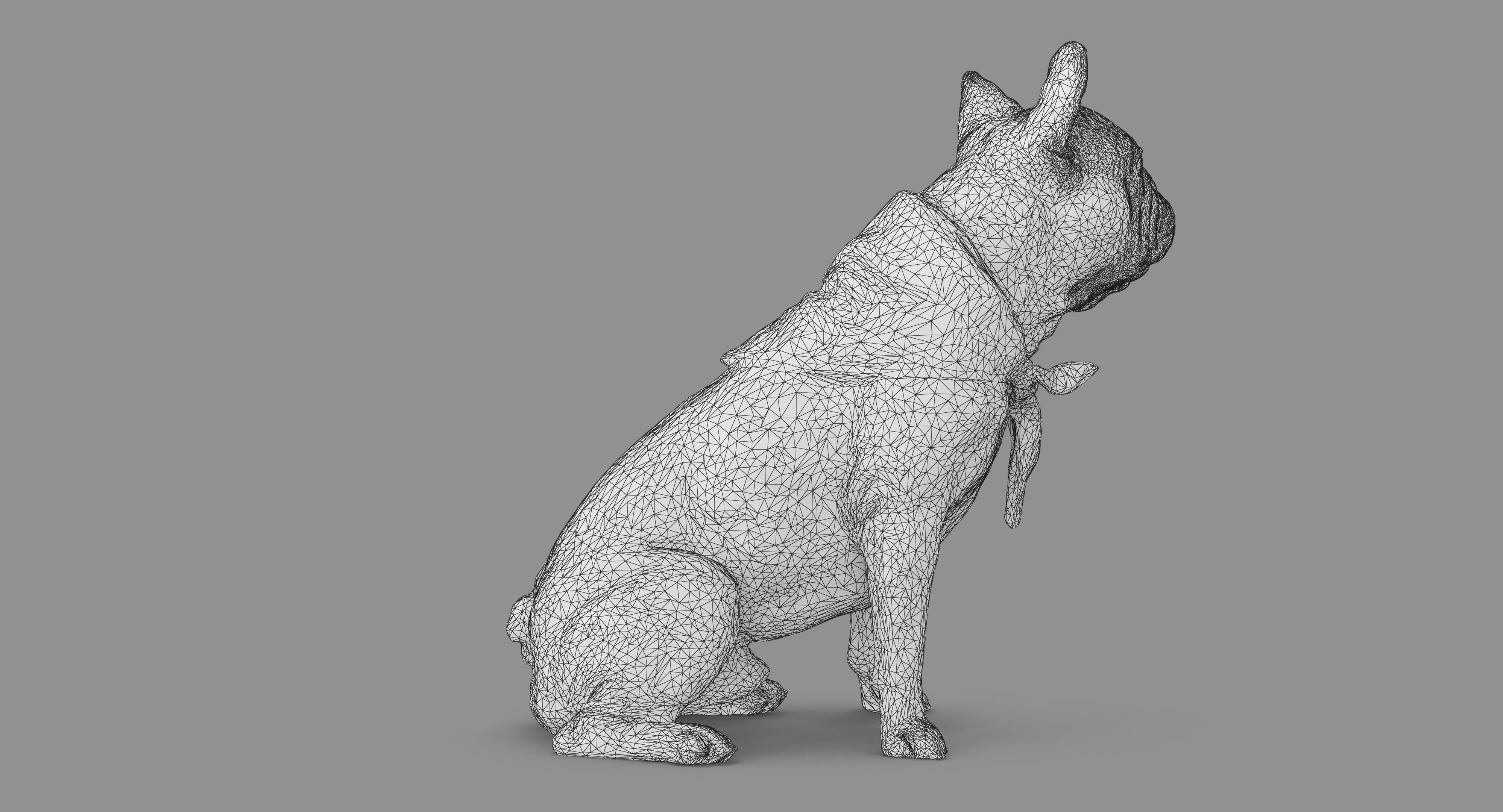 French Bulldog Sitting Low-poly 3D model_56