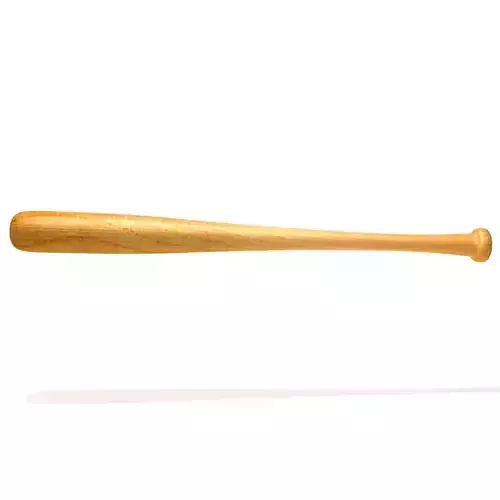 Baseball Bat