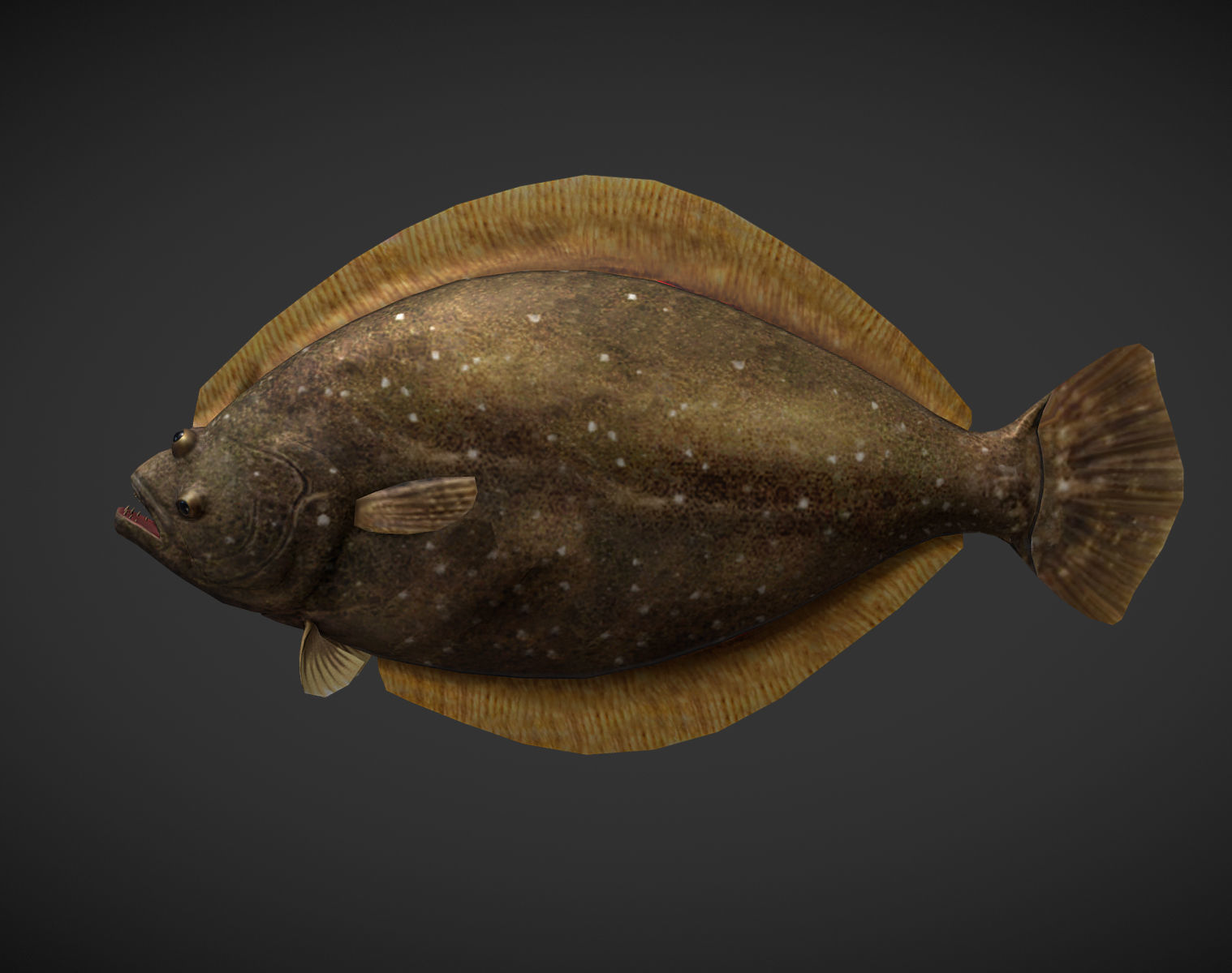 Sea Fish Low-poly 3D model_3