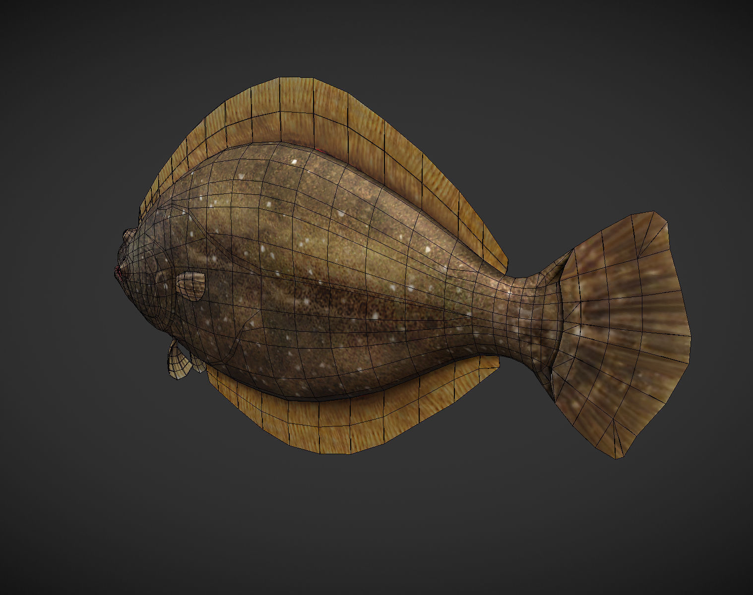 Sea Fish Low-poly 3D model_4
