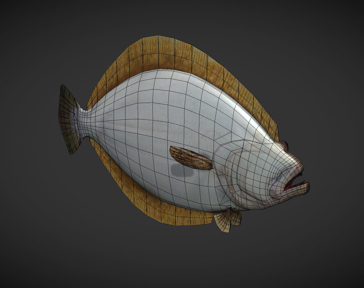 Sea Fish Low-poly 3D model_6