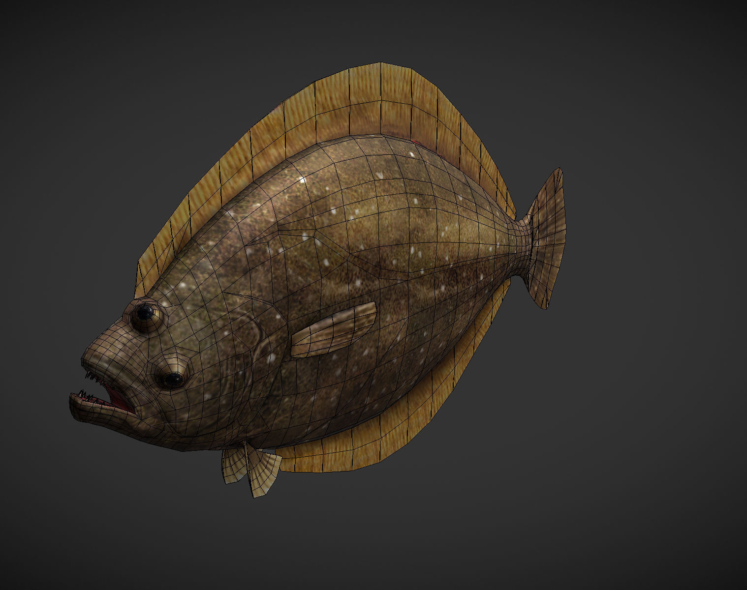 Sea Fish Low-poly 3D model_2