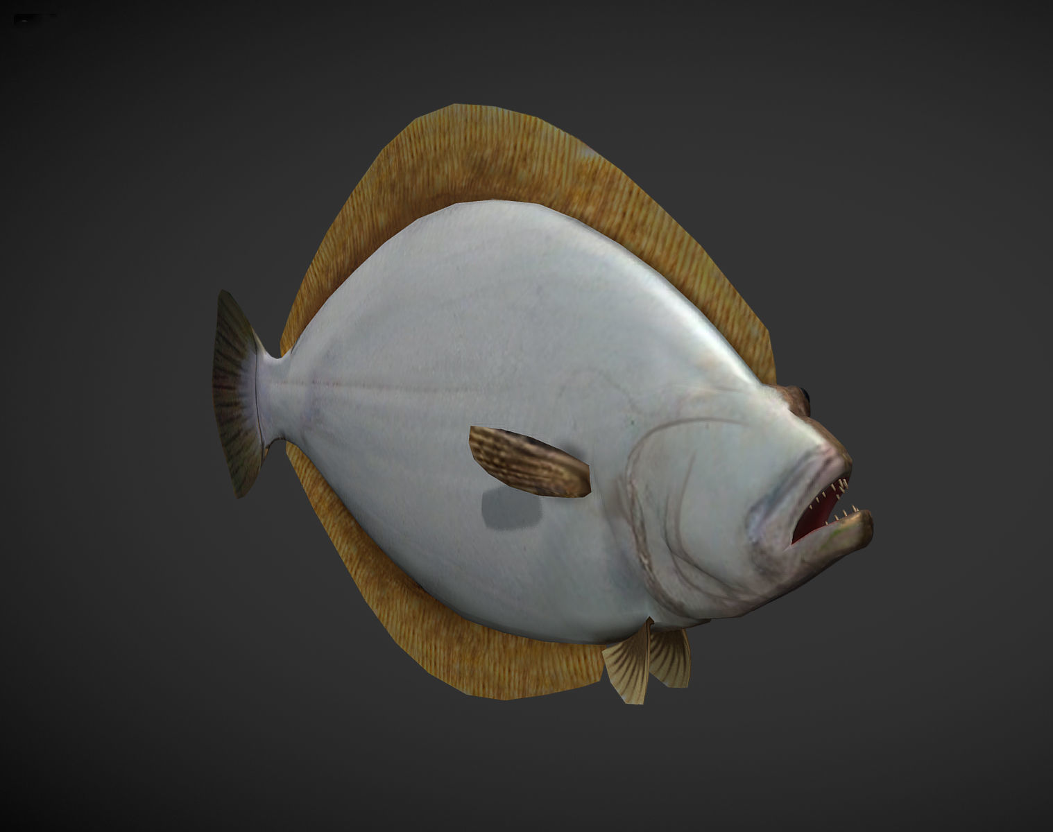 Sea Fish Low-poly 3D model_5
