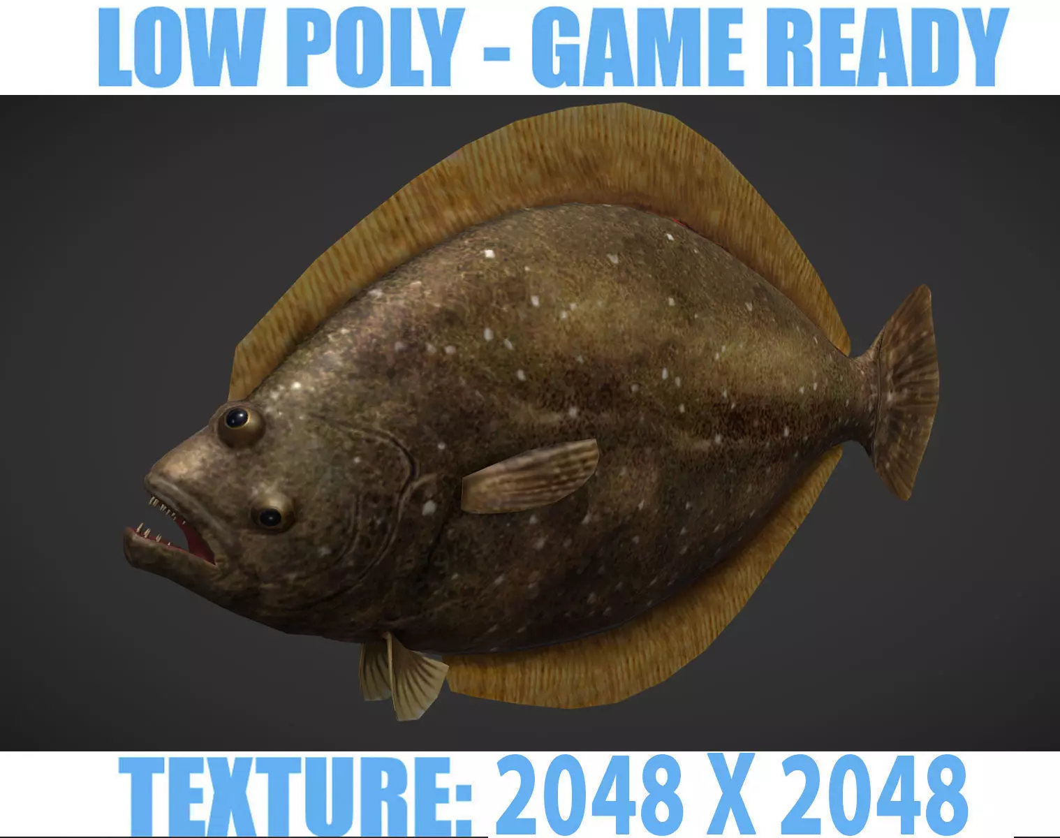 Sea Fish Low-poly 3D model_0